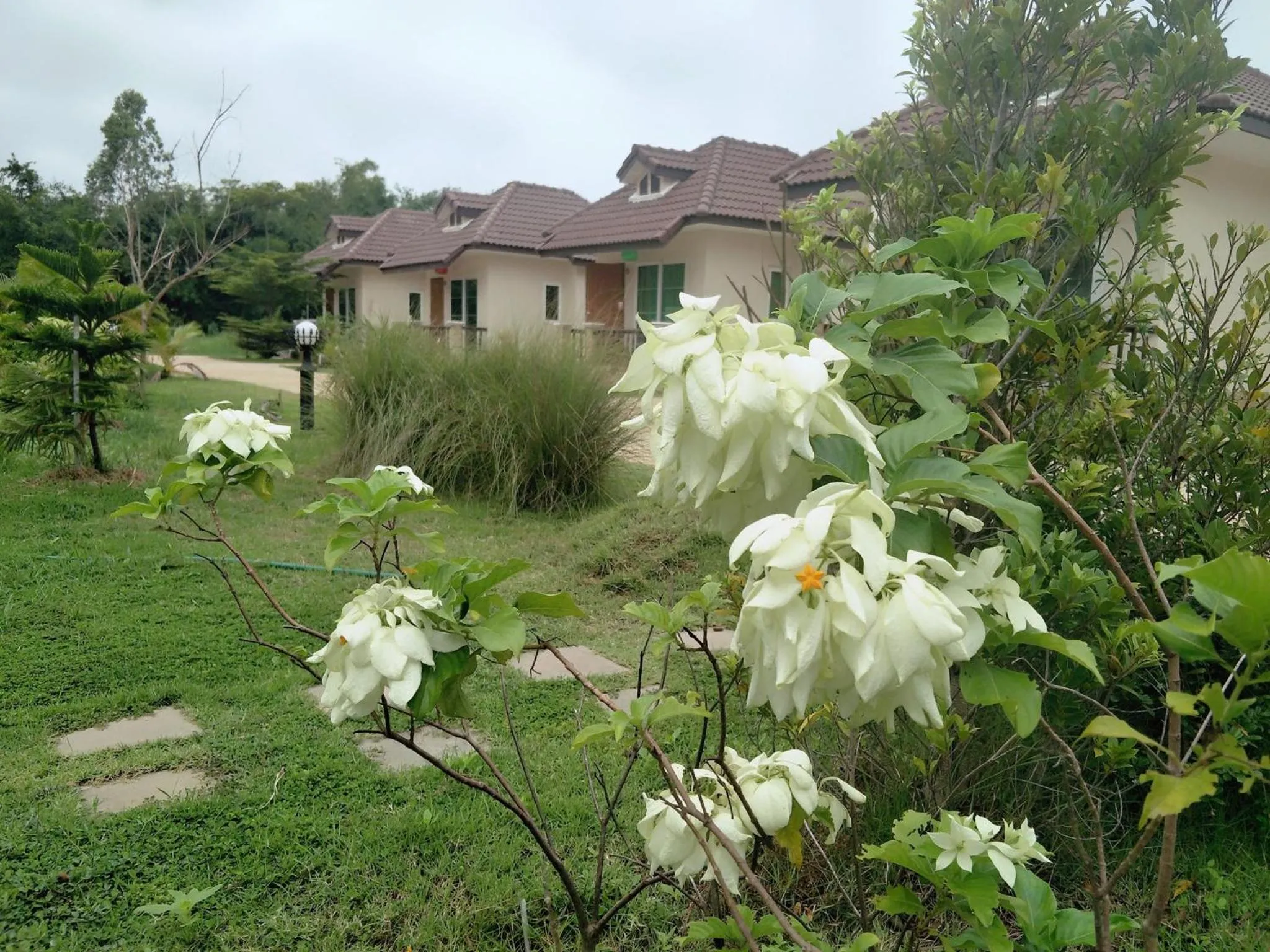 Suwi Coco Ville Resort