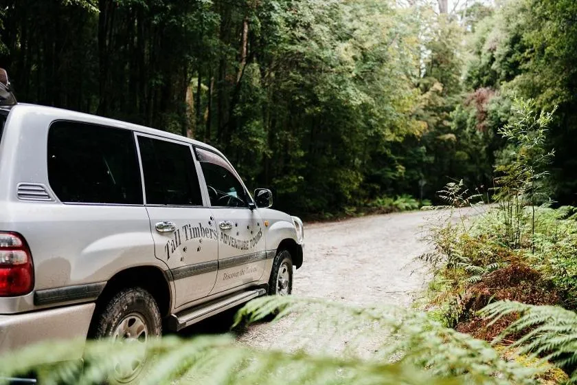 Nearby landmark in Tall Timbers Tasmania
