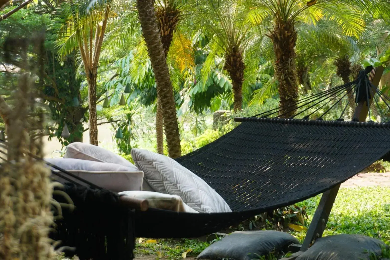 Garden in Villa San Pee Seua Garden in Villa San Pee Seua