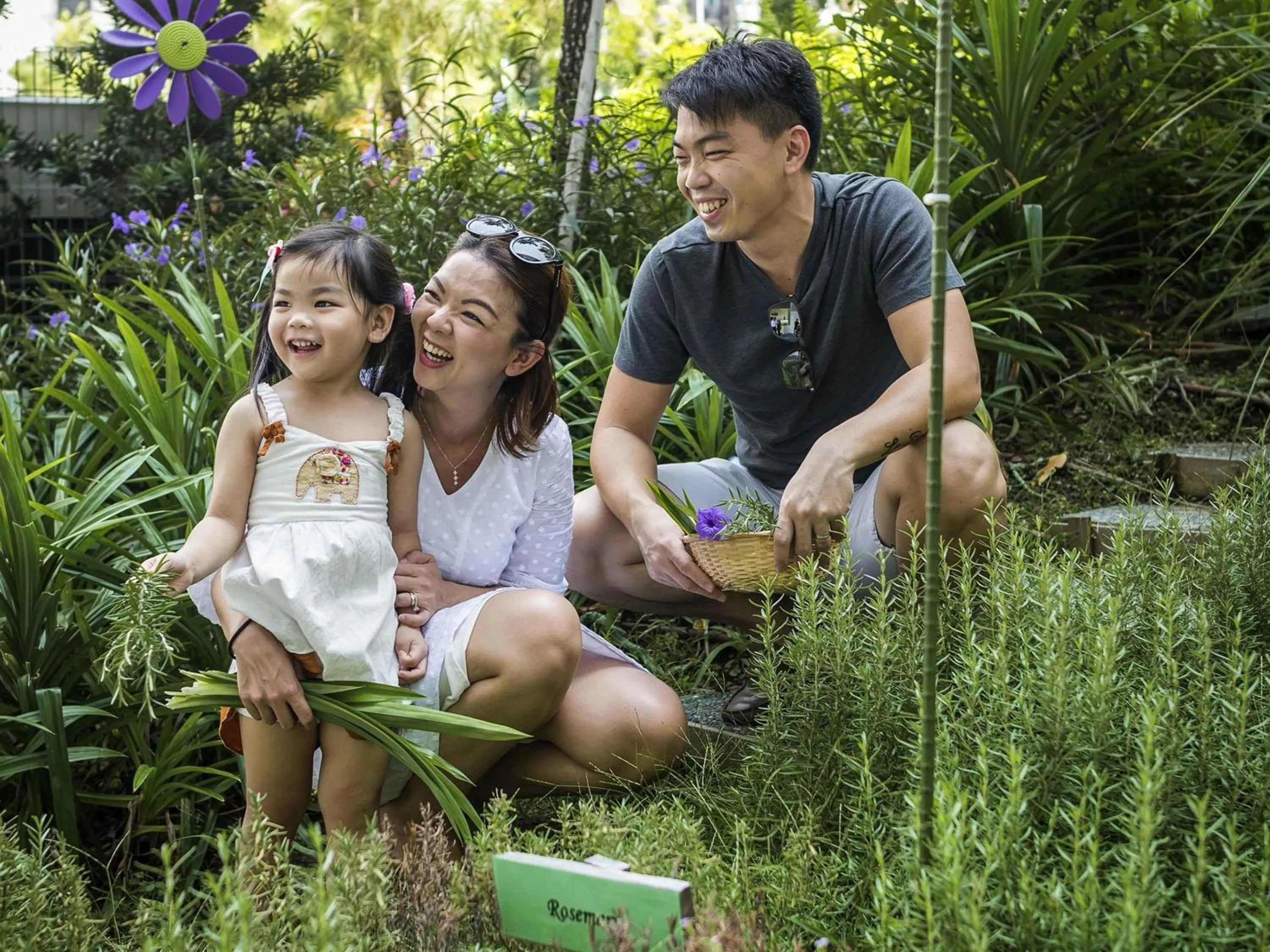 Other in Novotel Singapore On Stevens