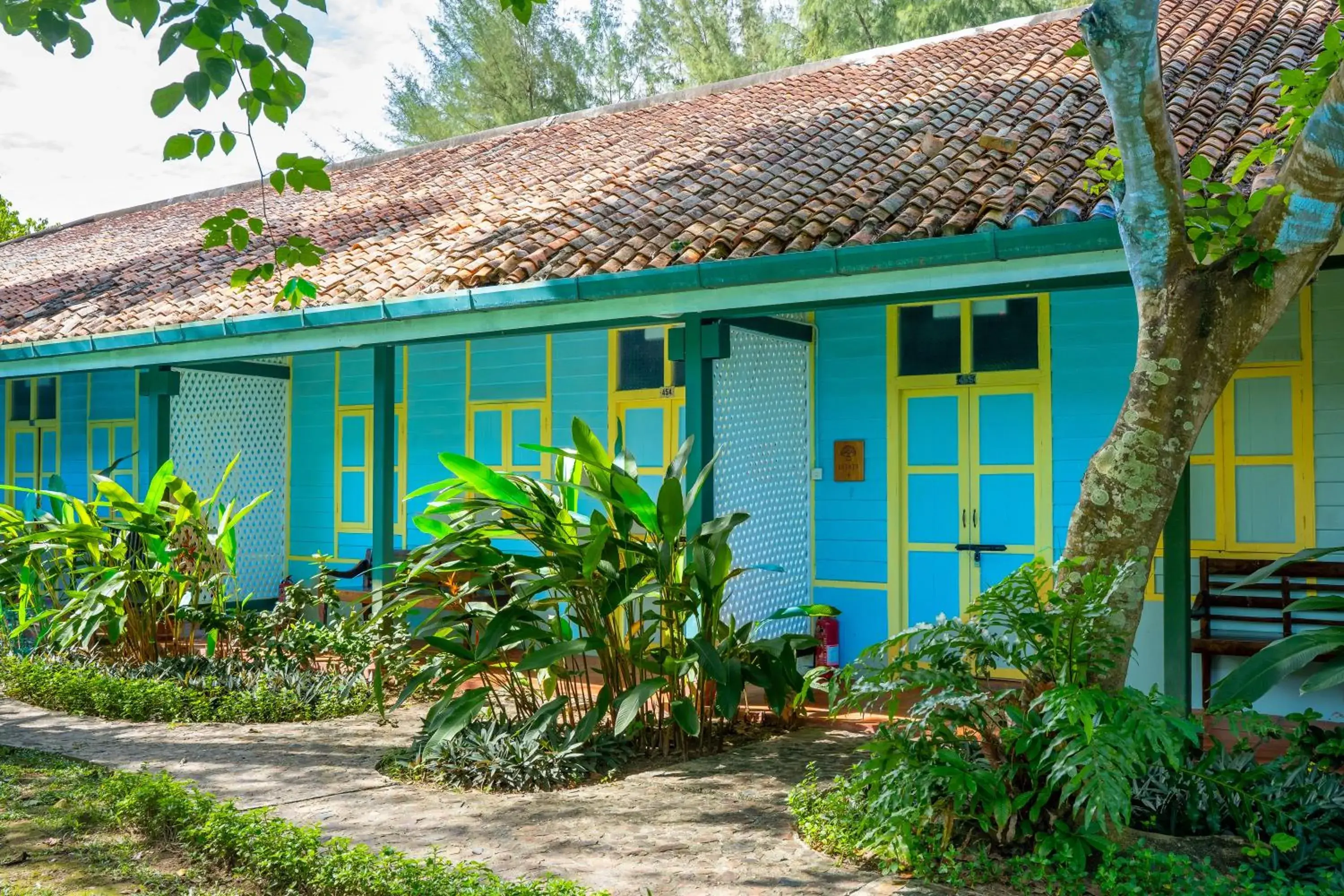 Property building in Temple Tree Resort Property building in Temple Tree Resort