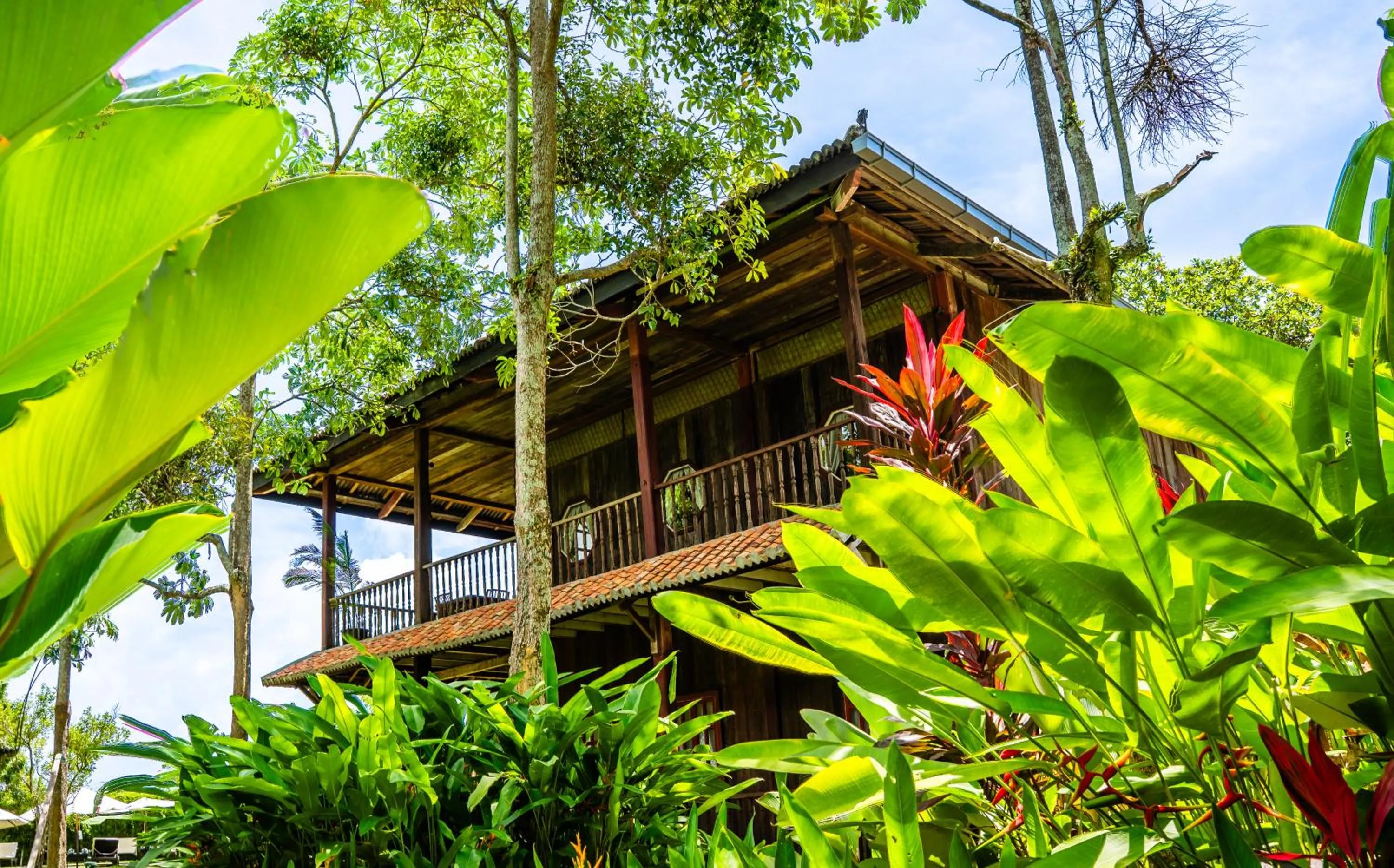 Natural landscape in Temple Tree Resort