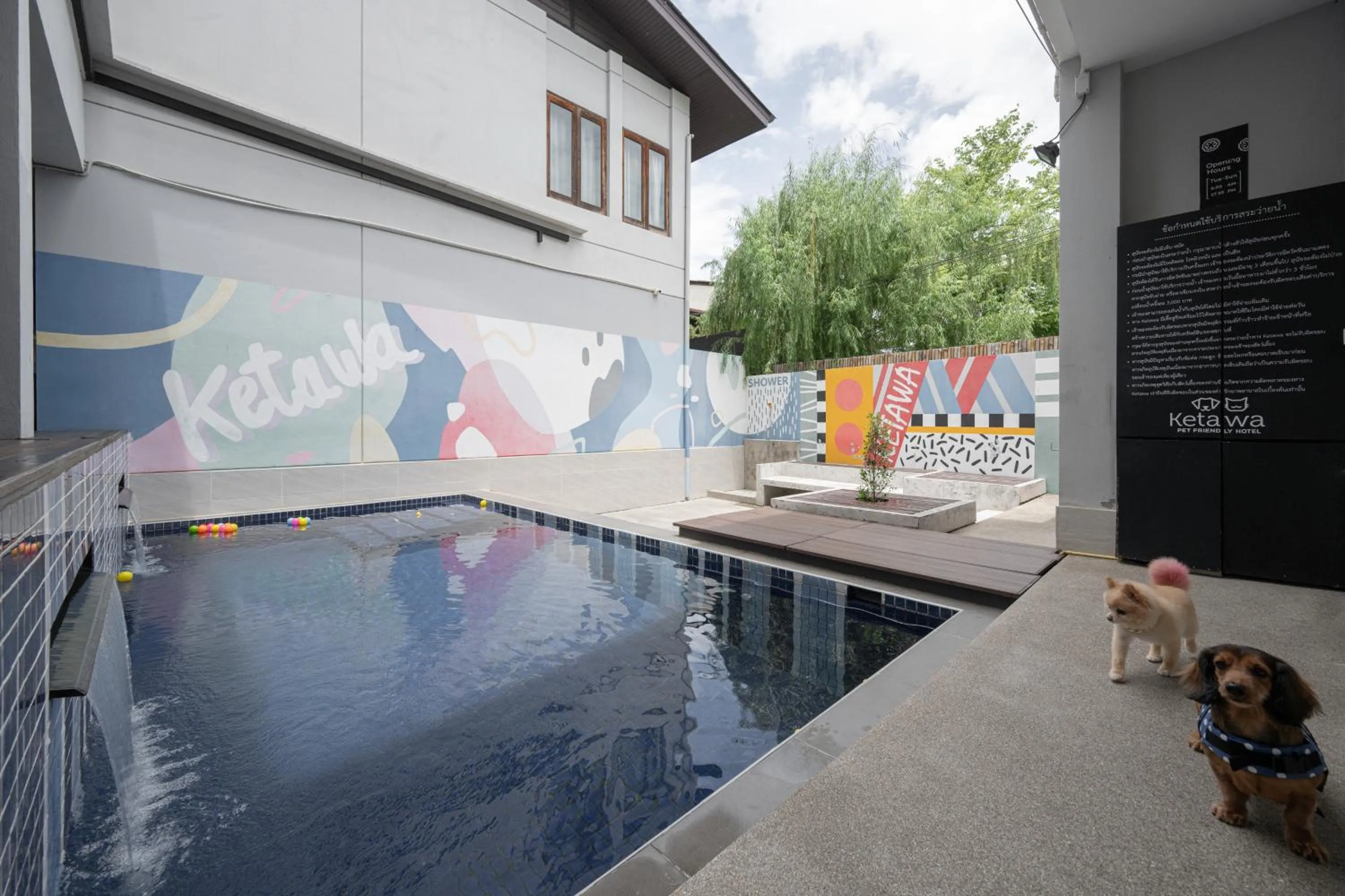 Swimming pool in Ketawa Pet Friendly Hotel