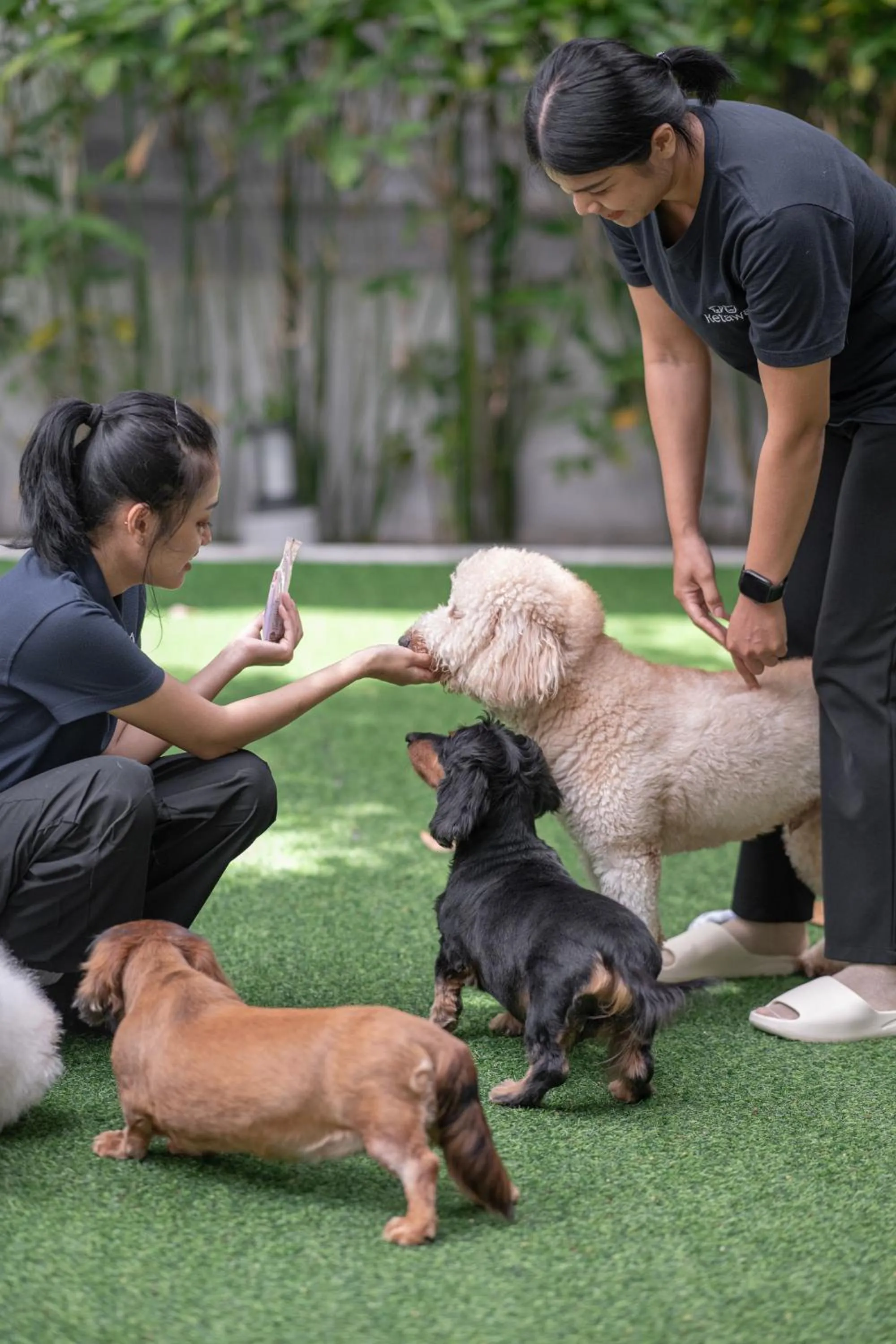 Property building in Ketawa Pet Friendly Hotel