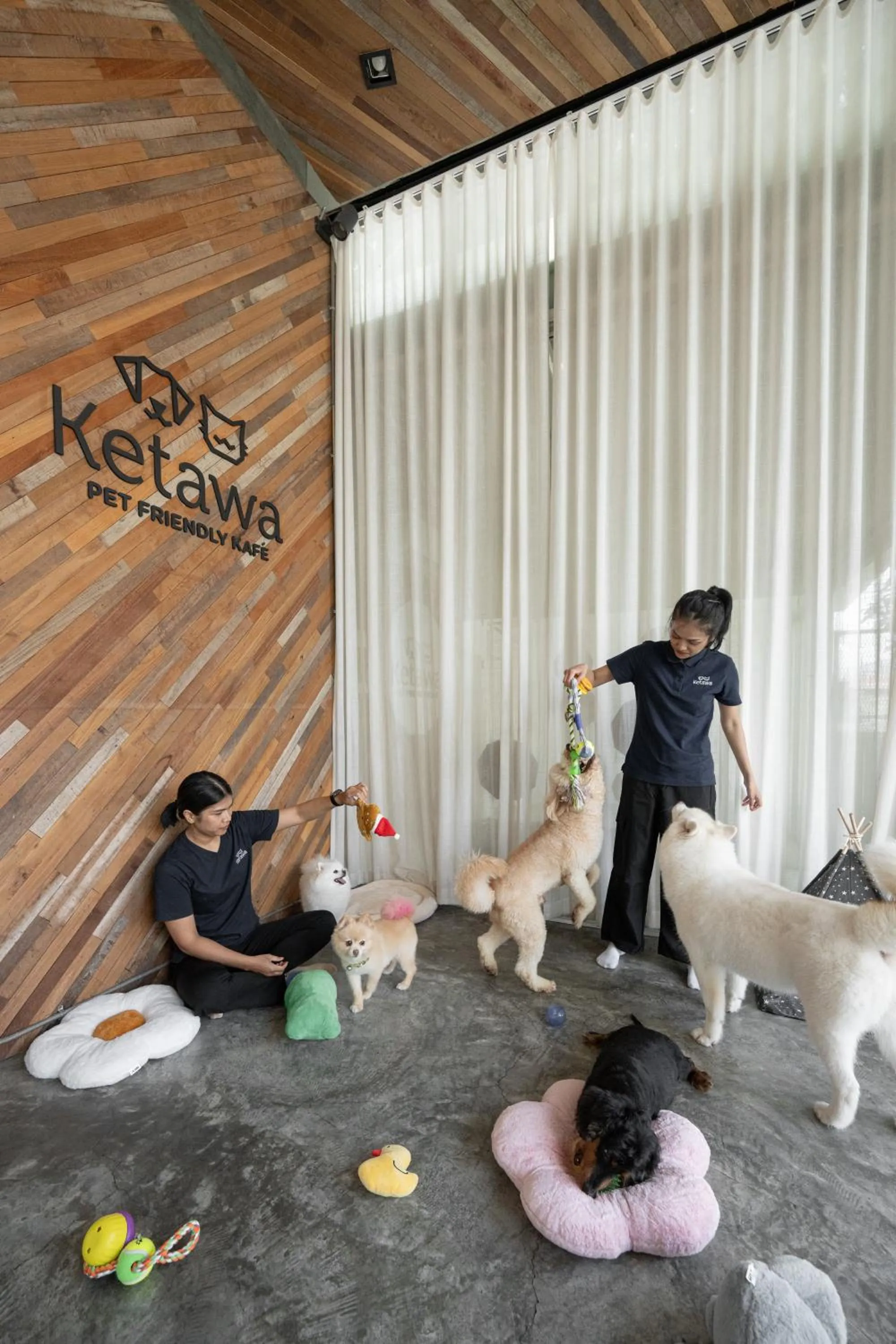 Property building in Ketawa Pet Friendly Hotel