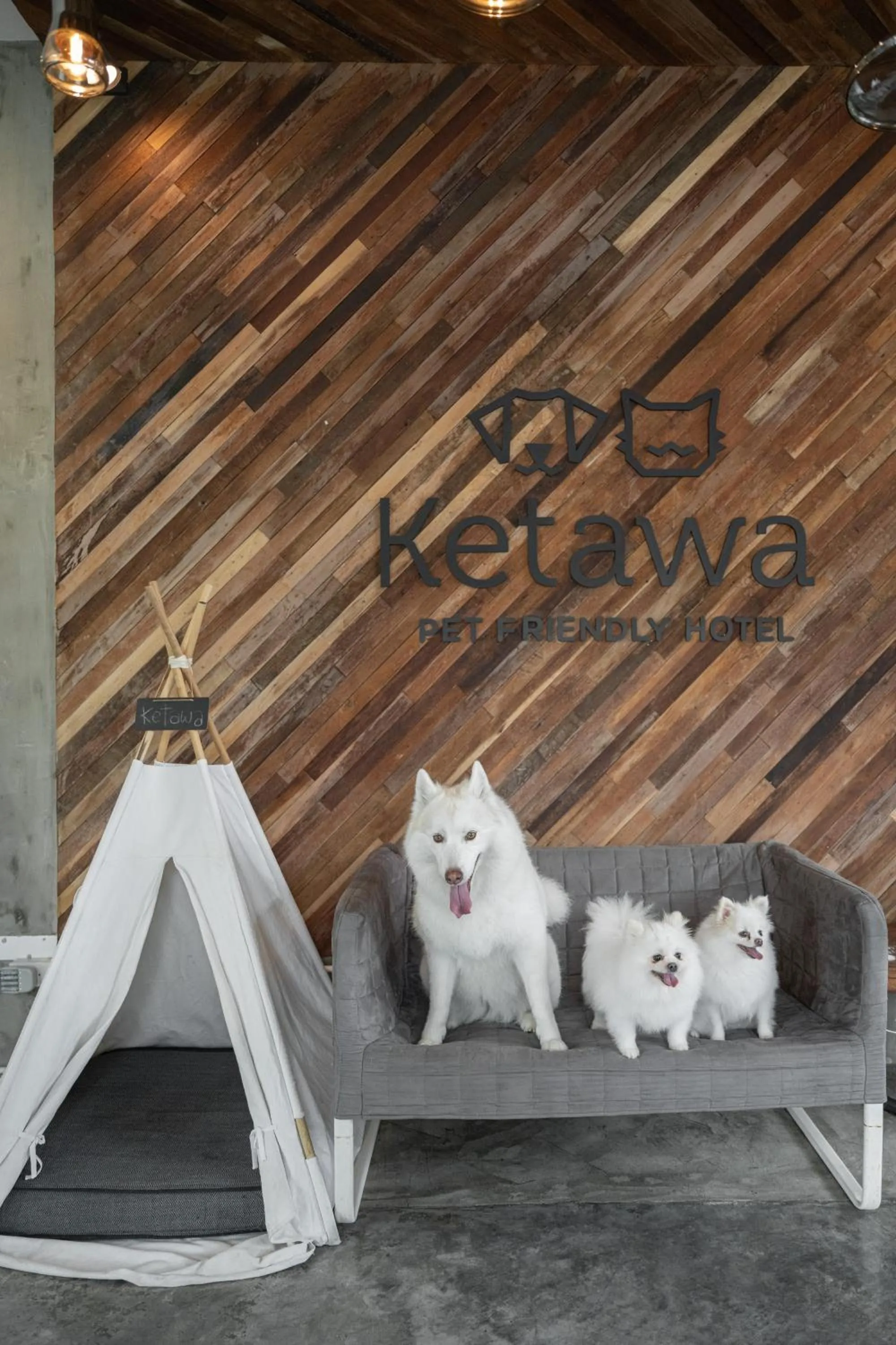 Property building in Ketawa Pet Friendly Hotel