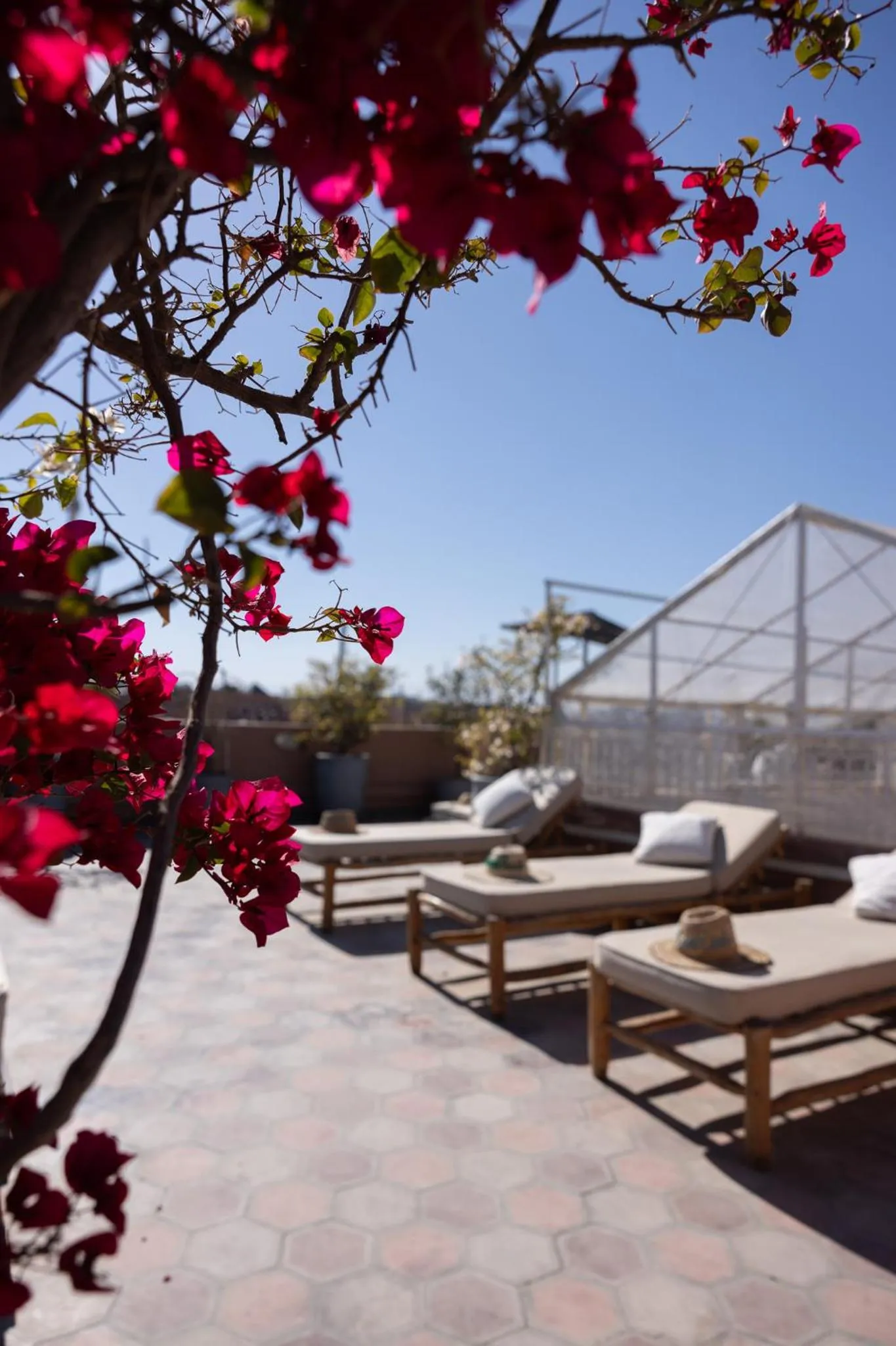 Balcony/Terrace in Monriad