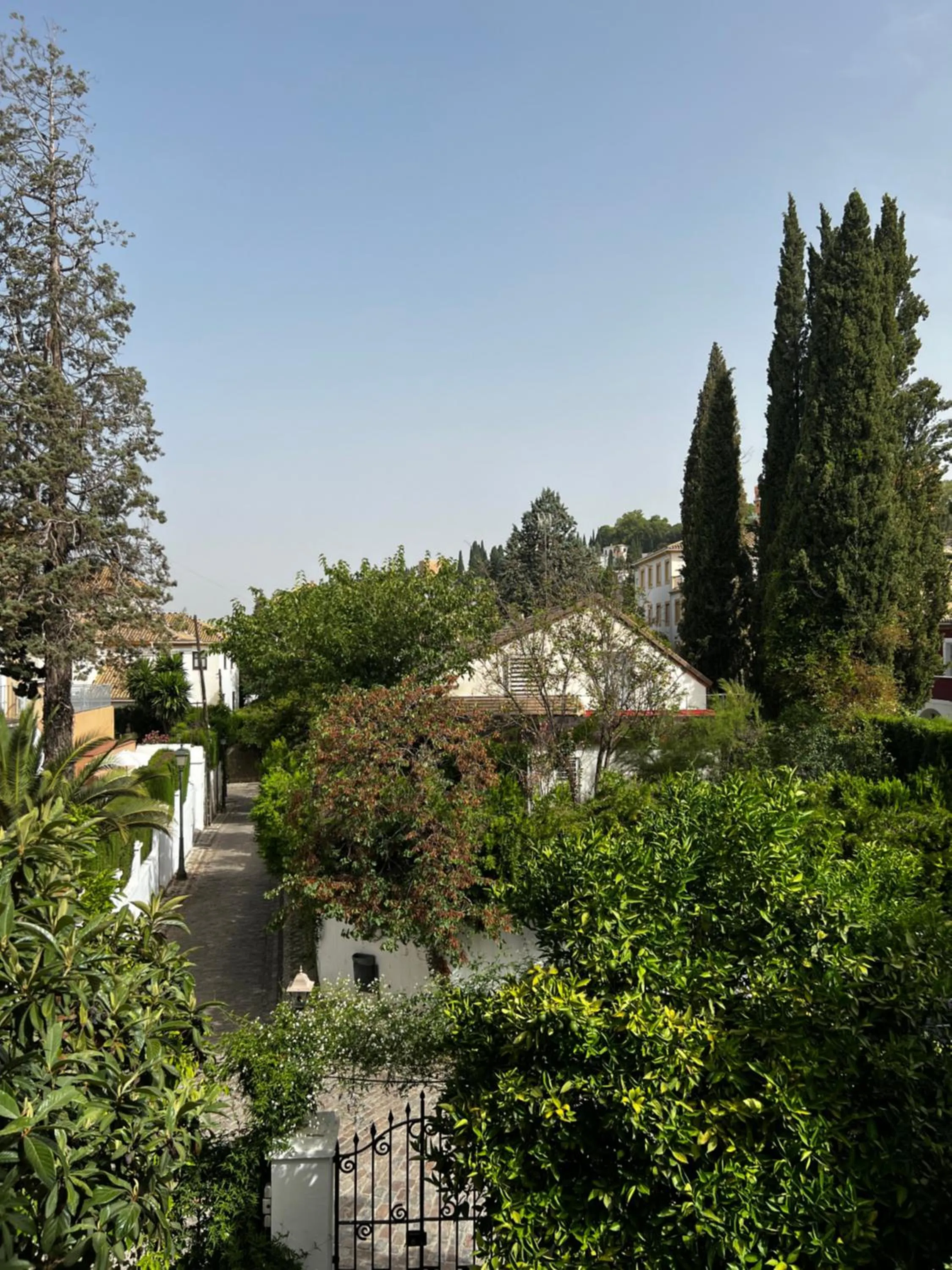 Garden in Hotelito Suecia