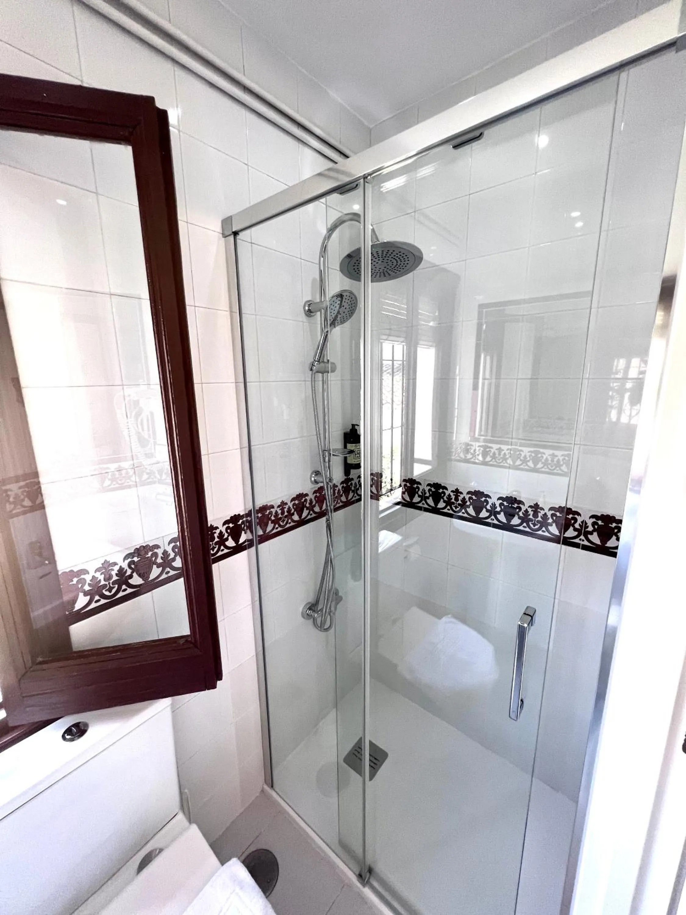 Shower in Hotelito Suecia