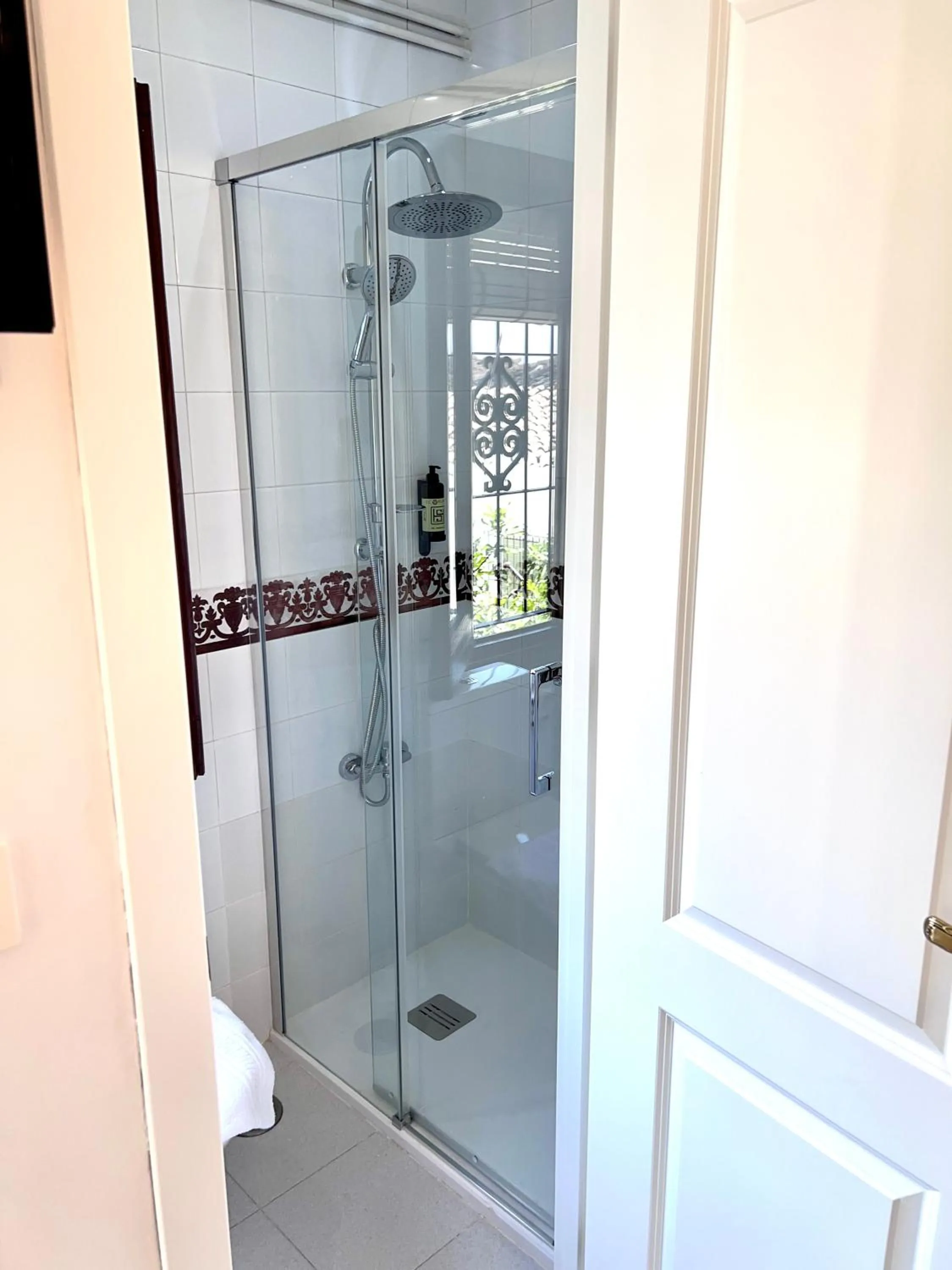 Shower in Hotelito Suecia