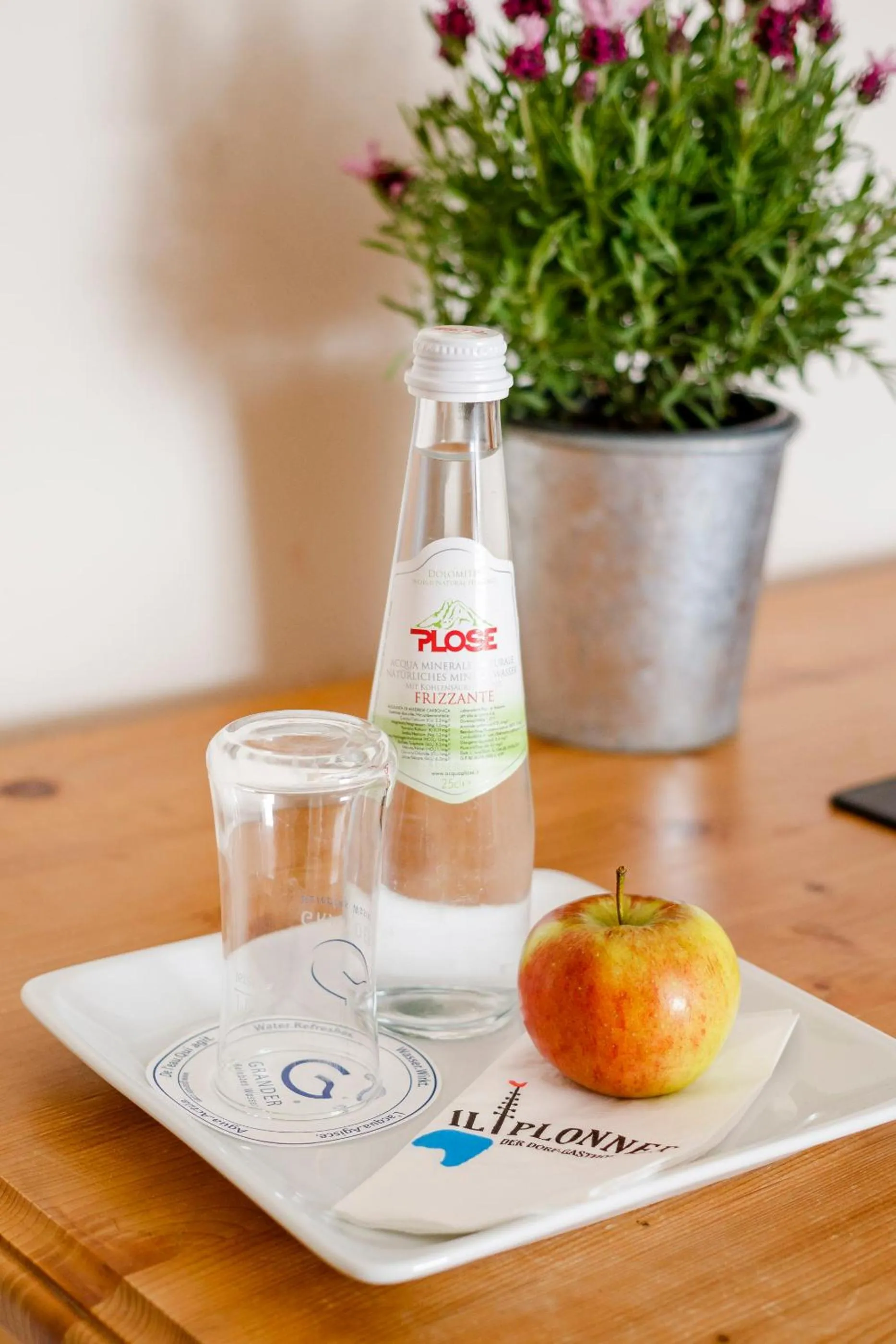 Il Plonner - Hotel Restaurant Biergarten