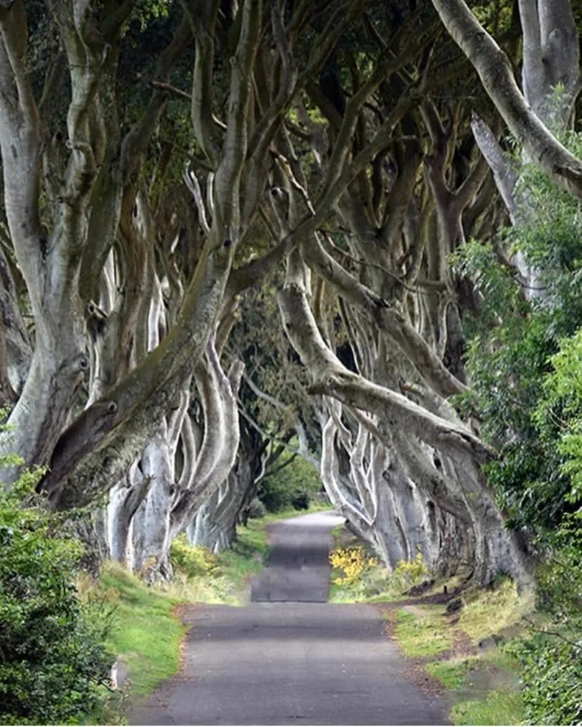 Nearby landmark in Cullentra House