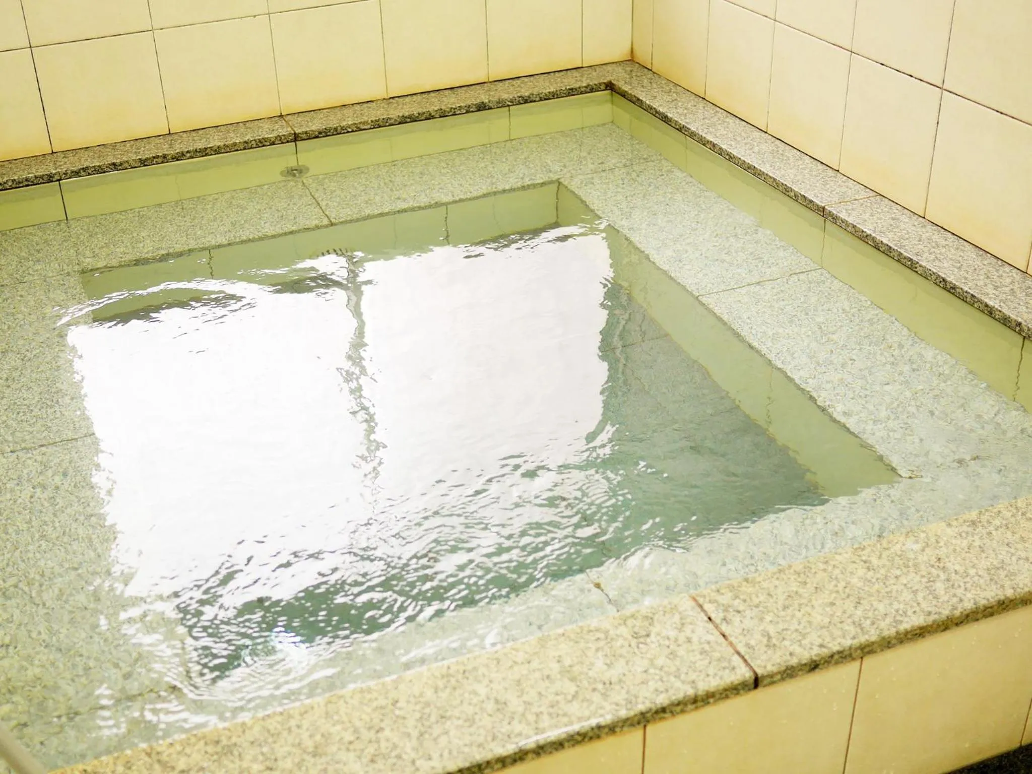 Spa and wellness centre/facilities, Swimming Pool in Hiroshima Peace Hotel