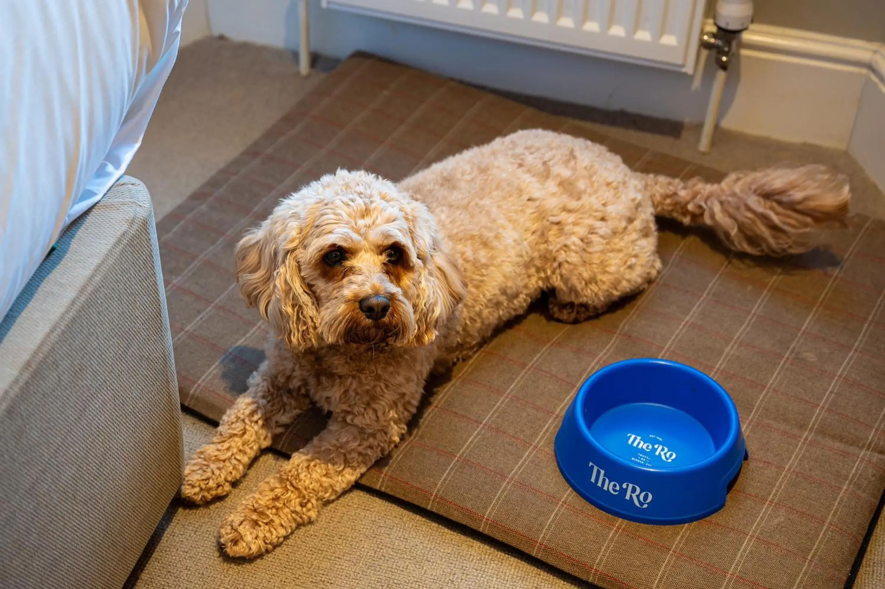 Bedroom in The Ro Hotel Windermere Bedroom in The Ro Hotel Windermere