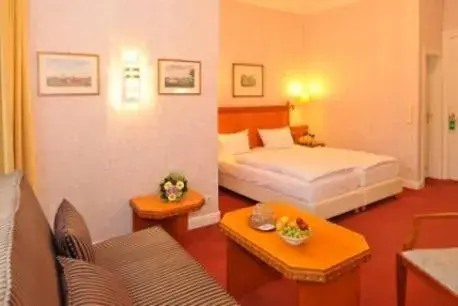 Double Room in Hotel Schmidt Double Room in Hotel Schmidt