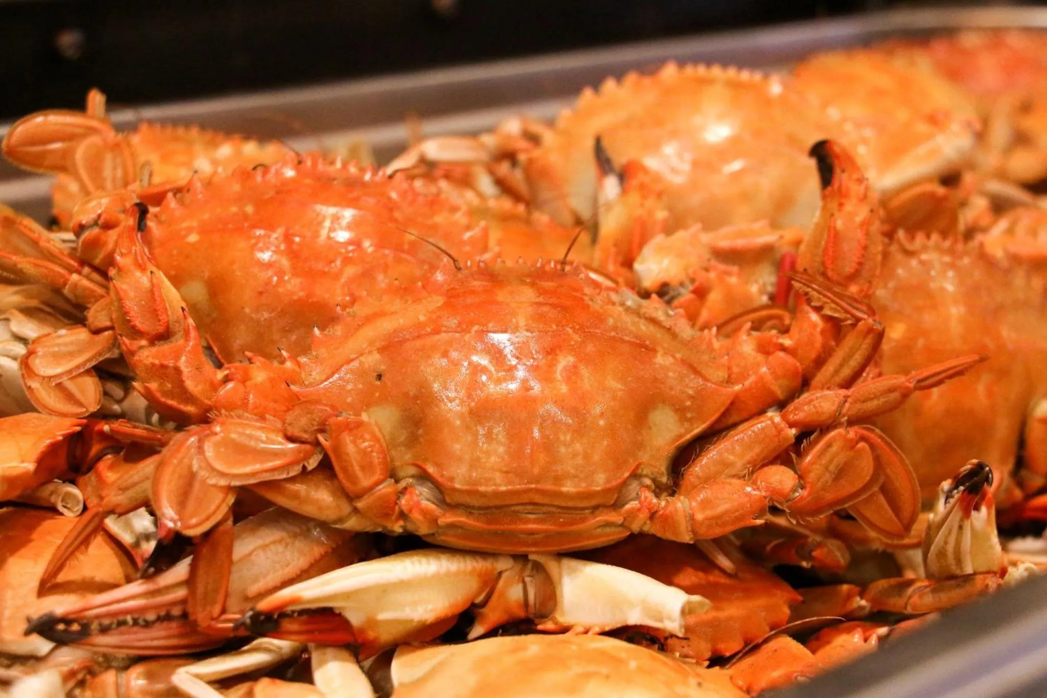 Restaurant/places to eat in Crowne Plaza Yantai Sea View by IHG