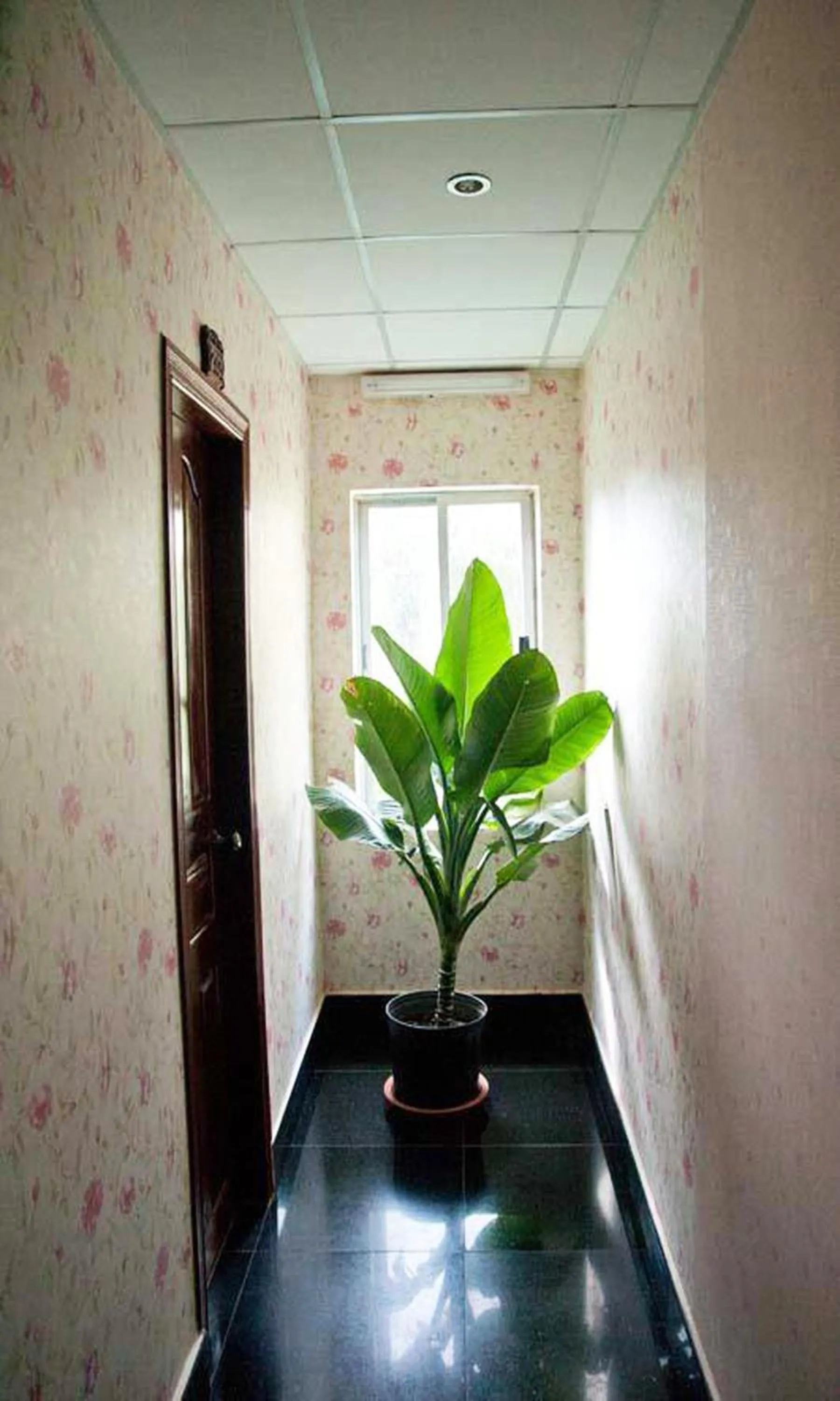 Other in Parklane Hotel