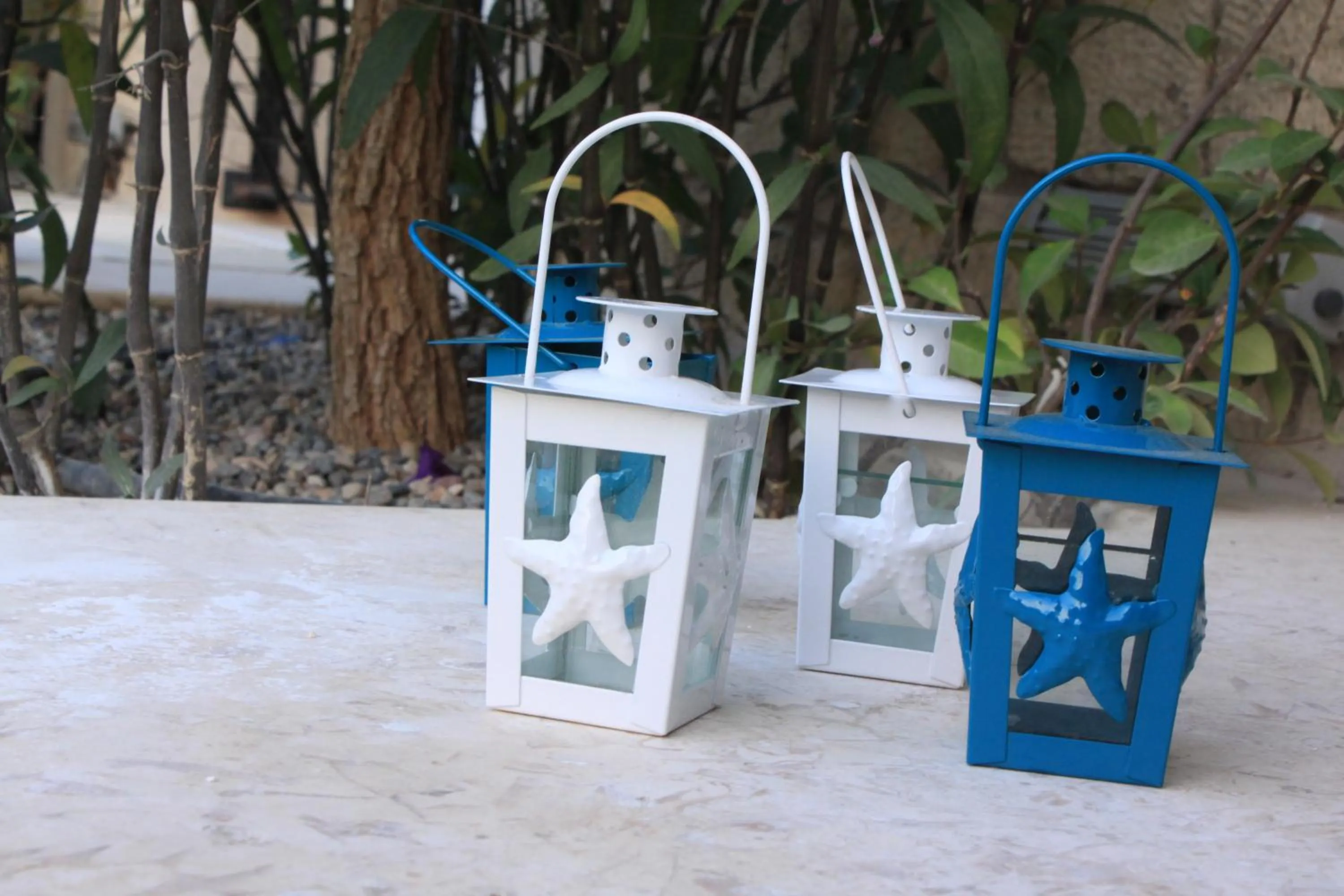 Day in Eritrina Alacati