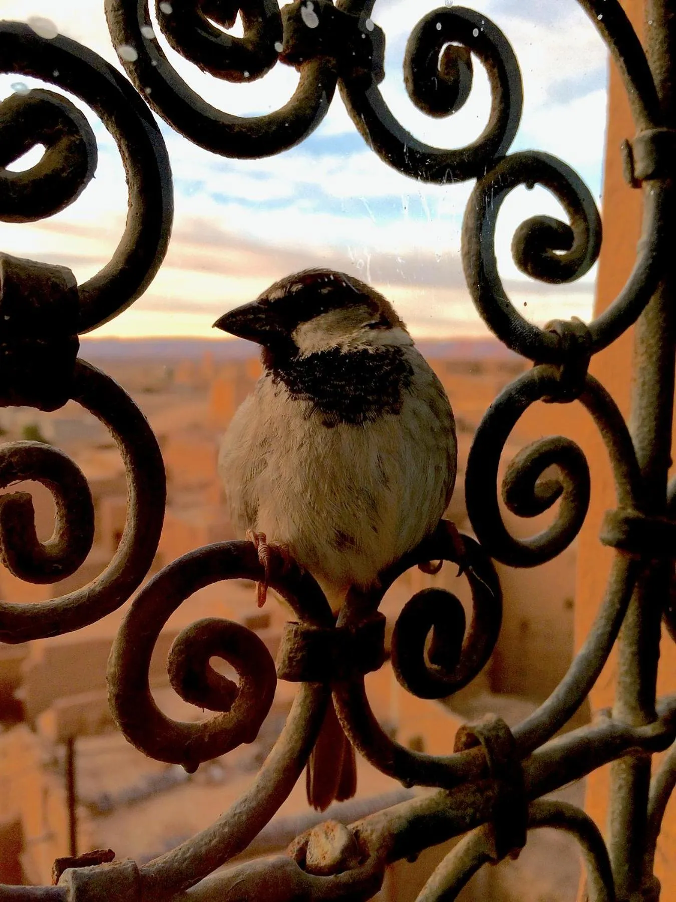 Decorative detail in Kasbah Oulad Othmane