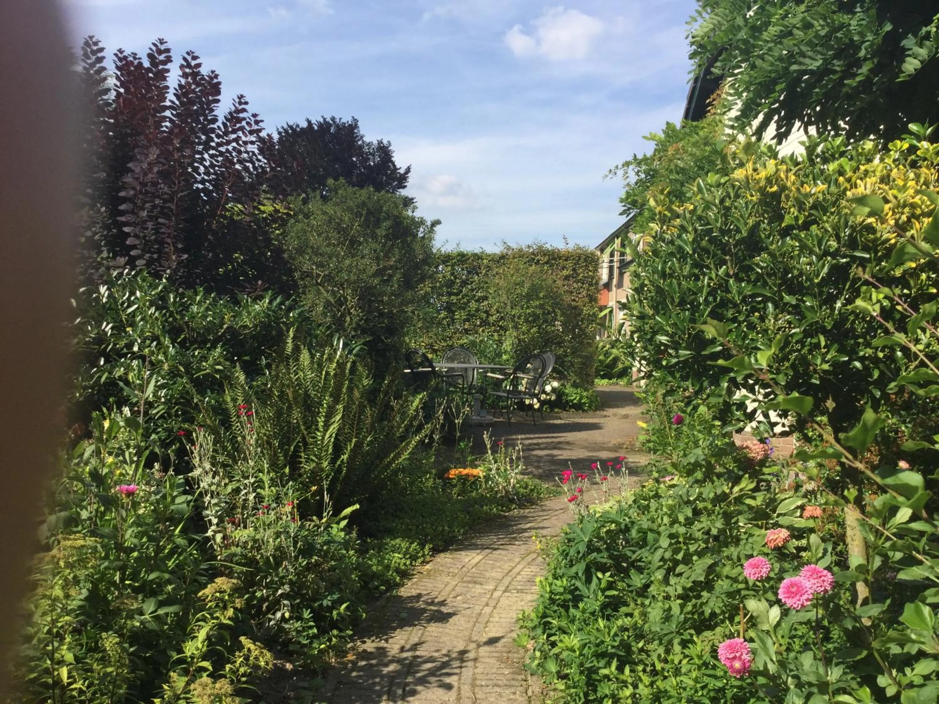 Garden in B&B Bosrand