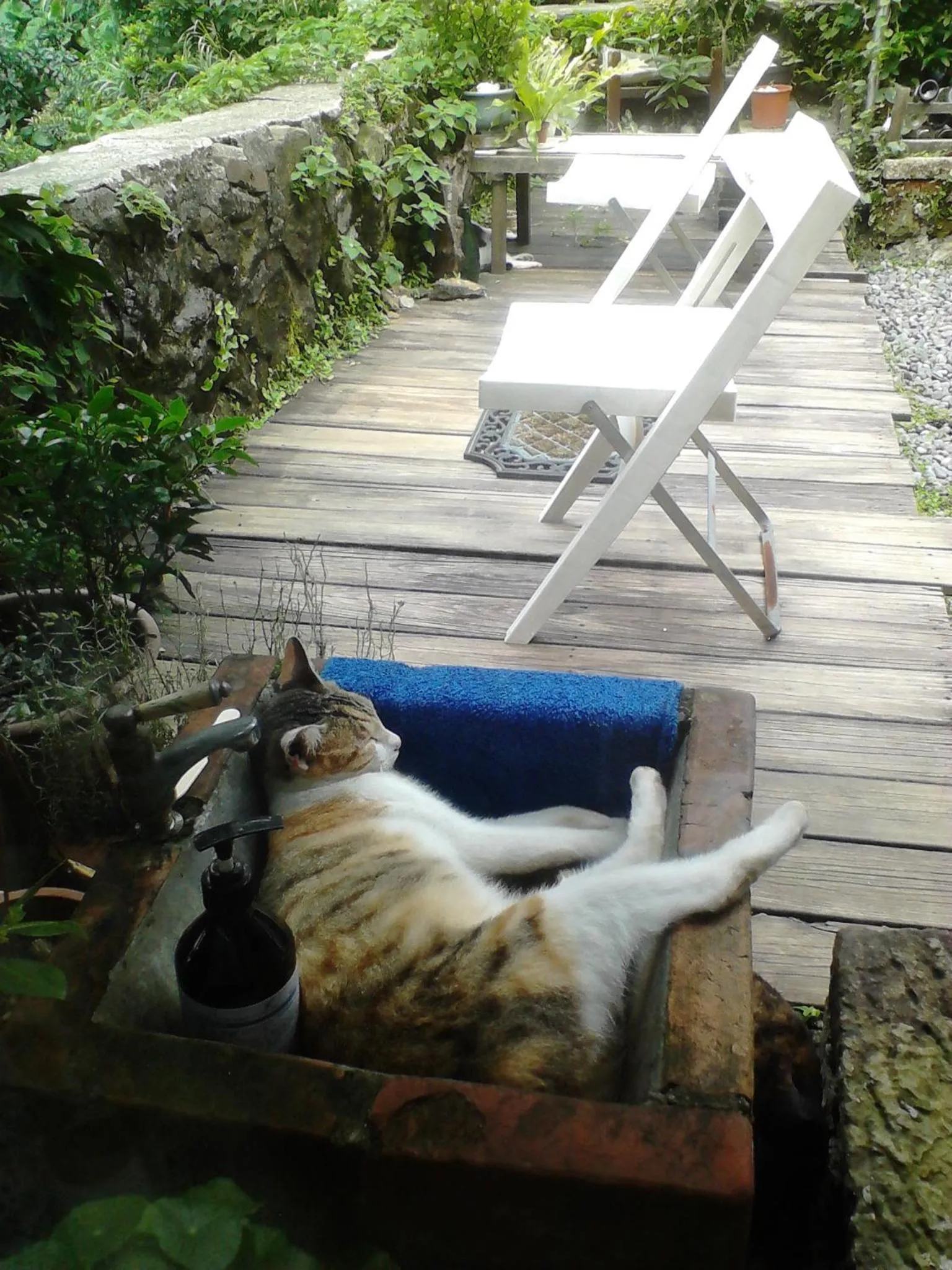 Jiufen Aromatherapy B&B