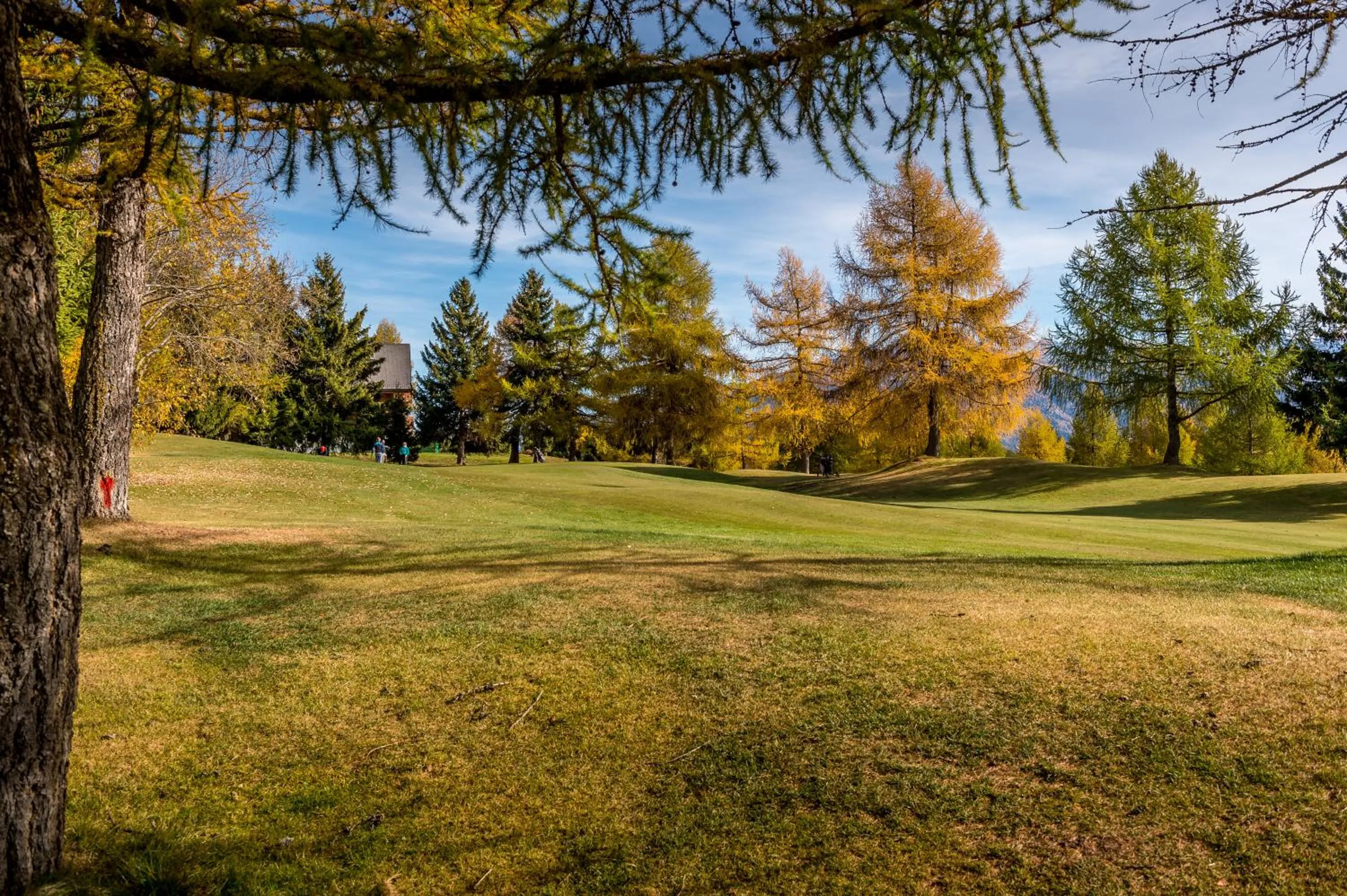 Area and facilities in Hotel Elite