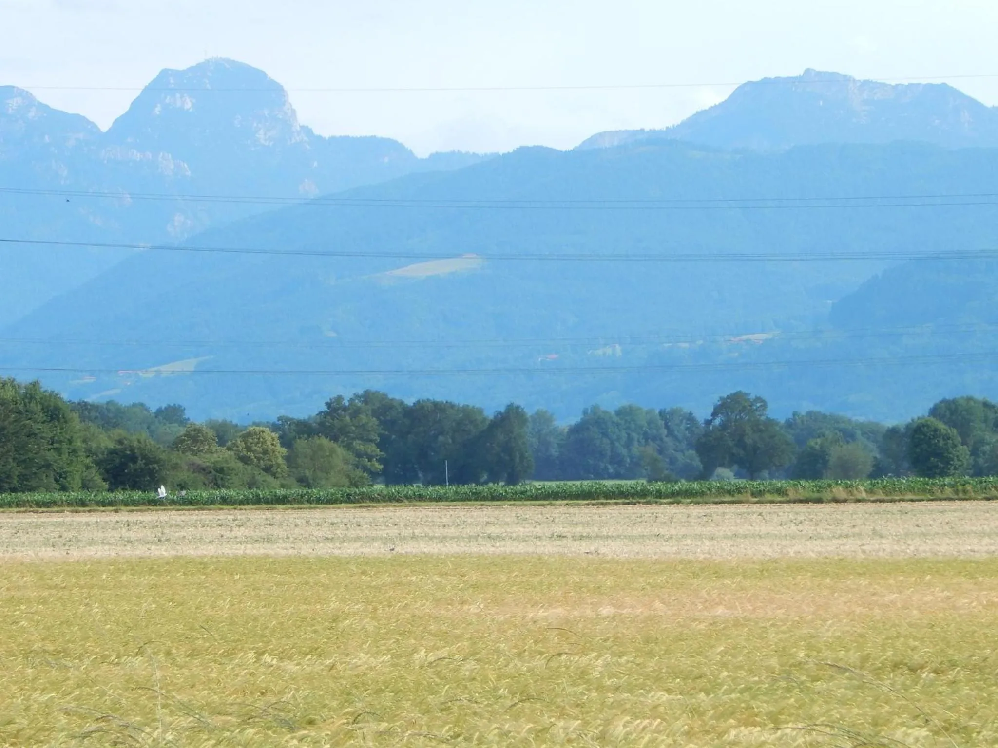 Ferienwohnung Am Feldbach