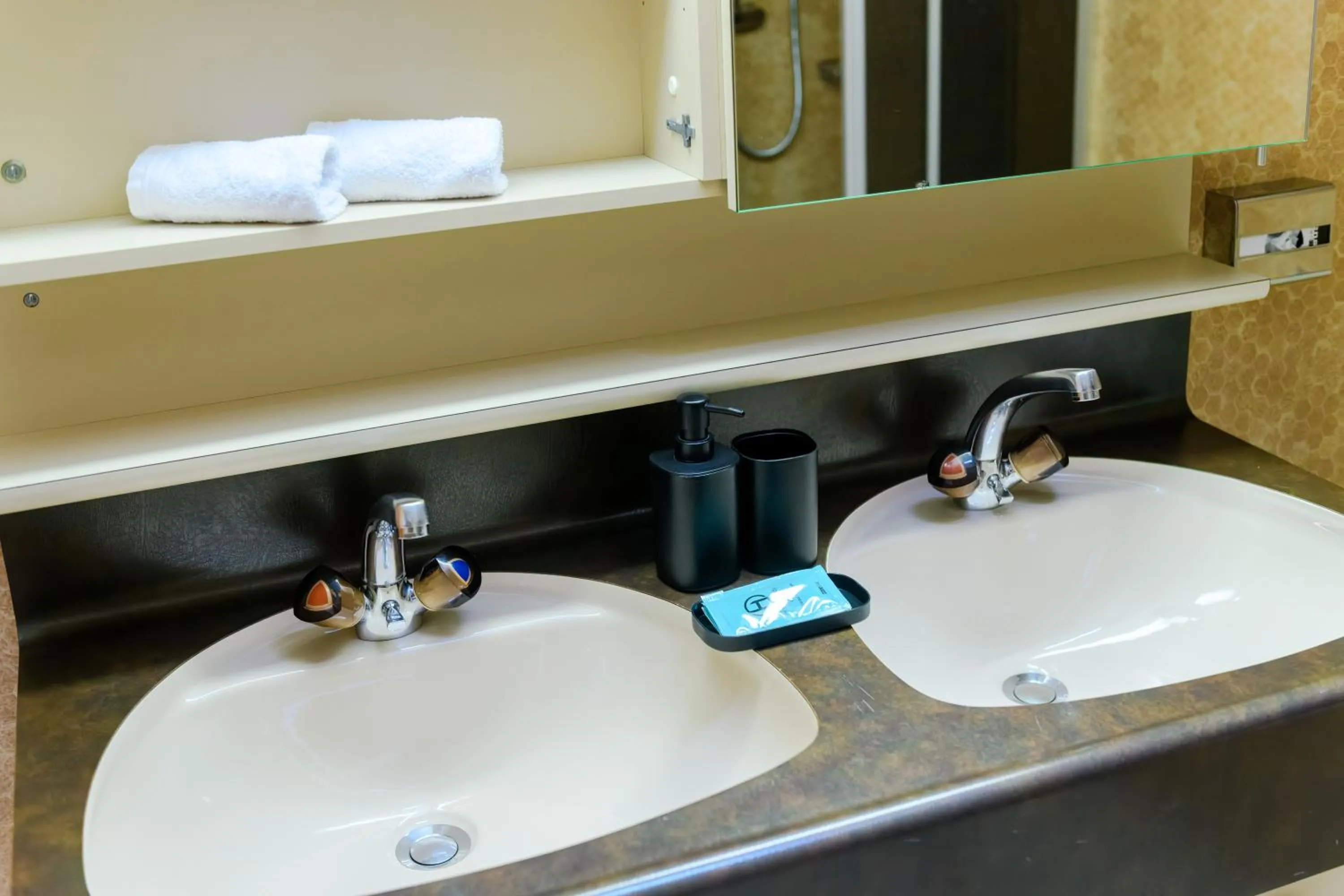 Bathroom in Poschiavo Suisse Hotel