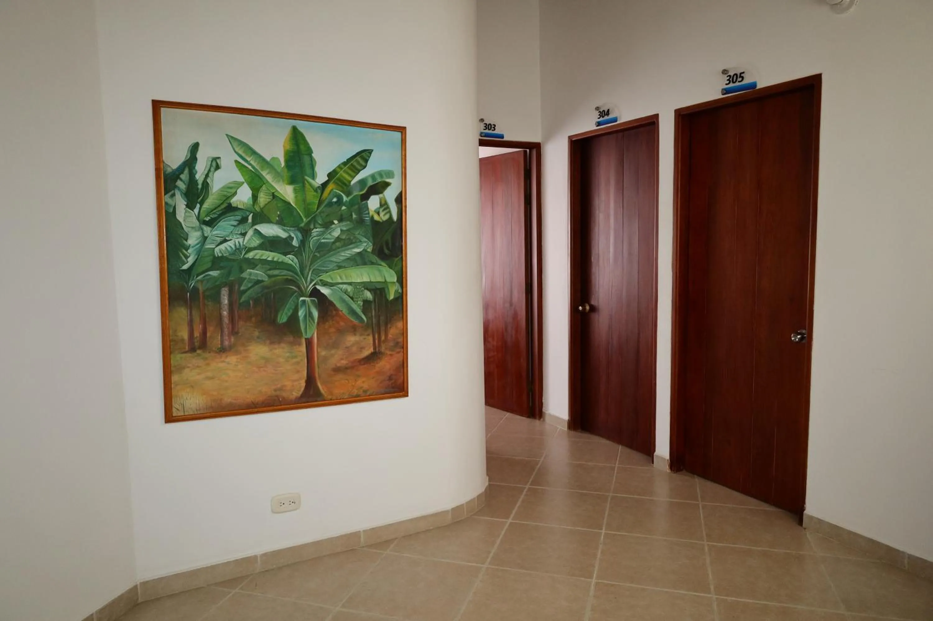 Area and facilities in Hotel Nattivo Uraba