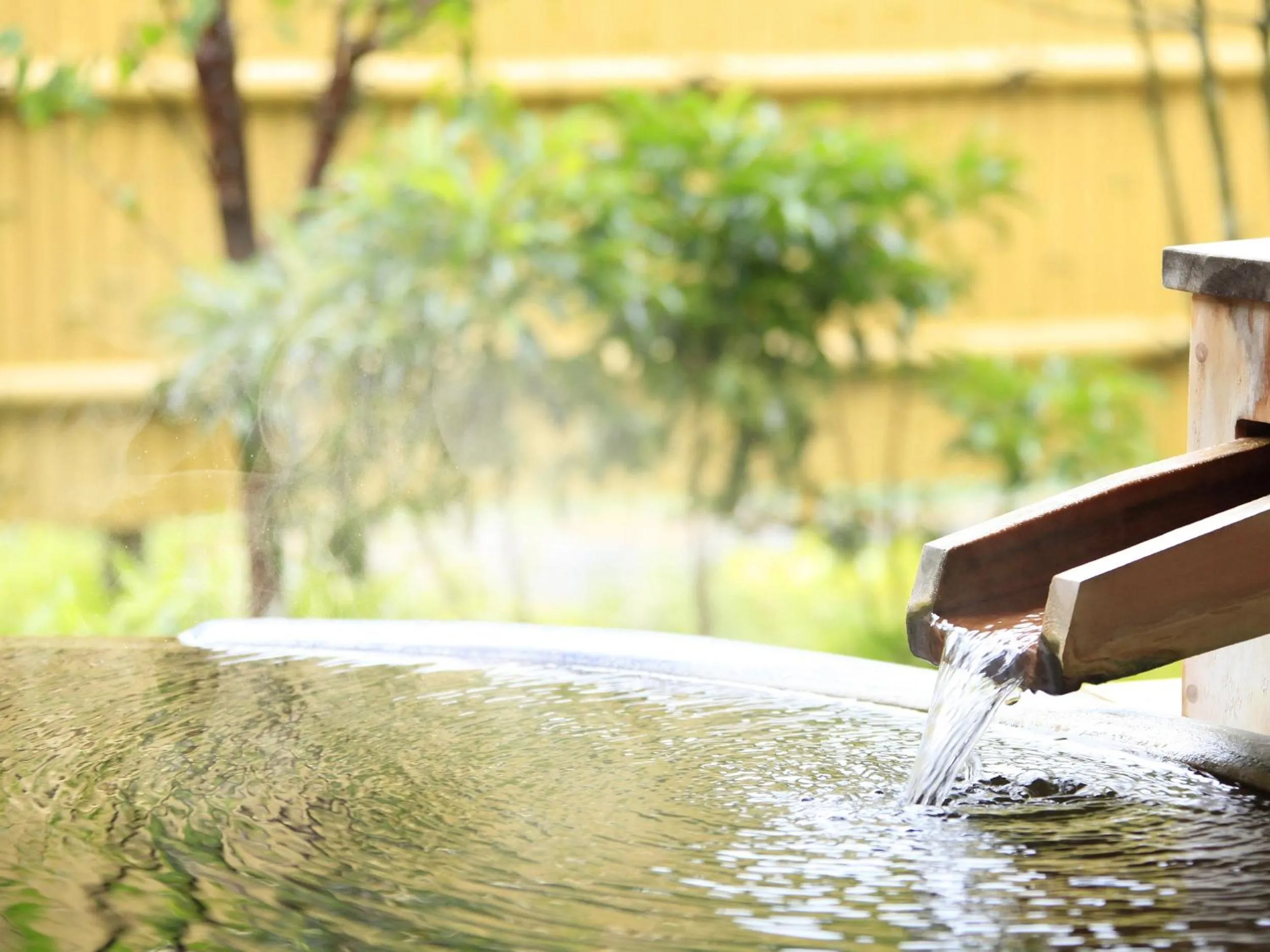 Hot Spring Bath in Shimoda Central Hotel