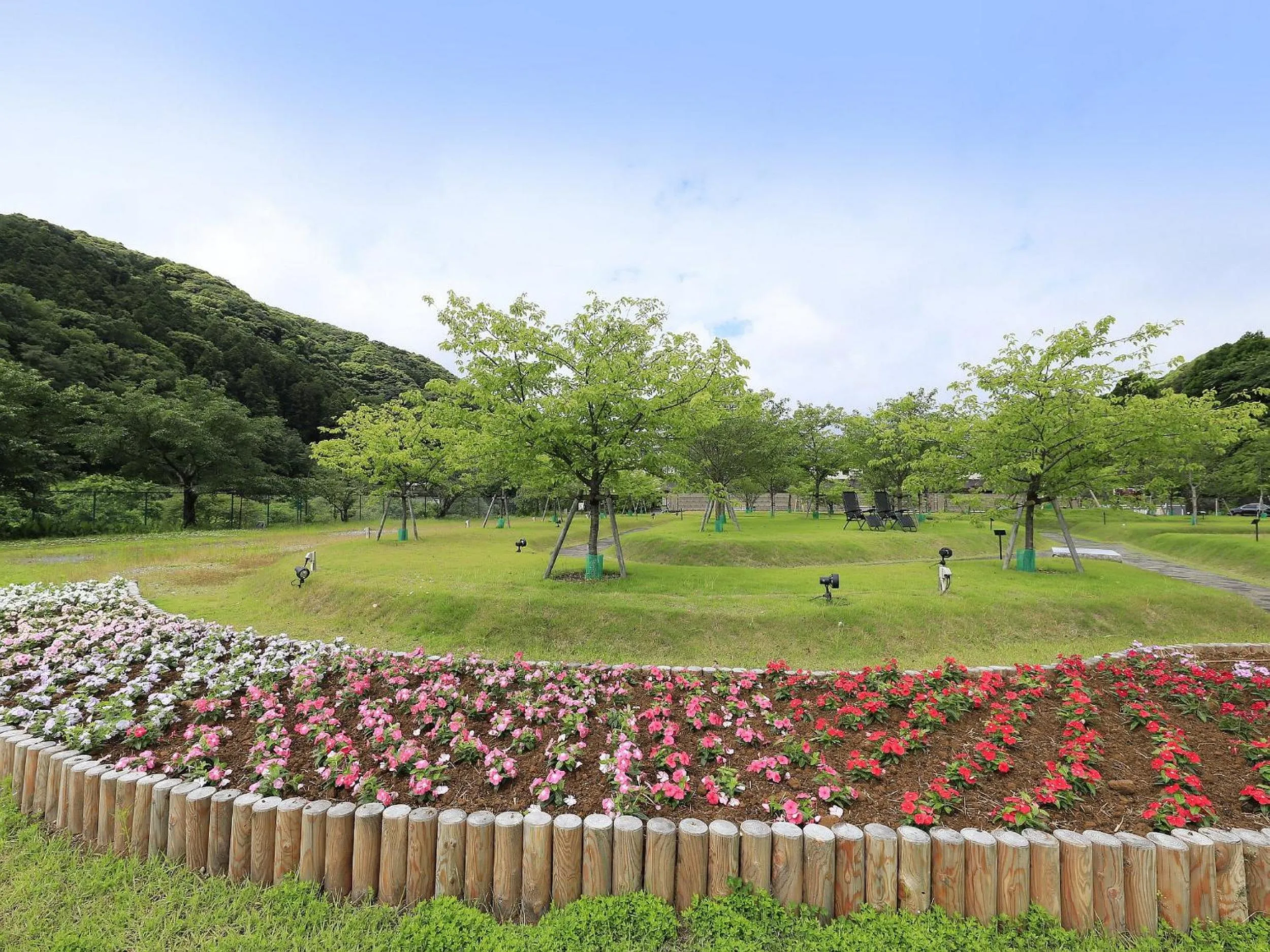 Garden in Shimoda Central Hotel