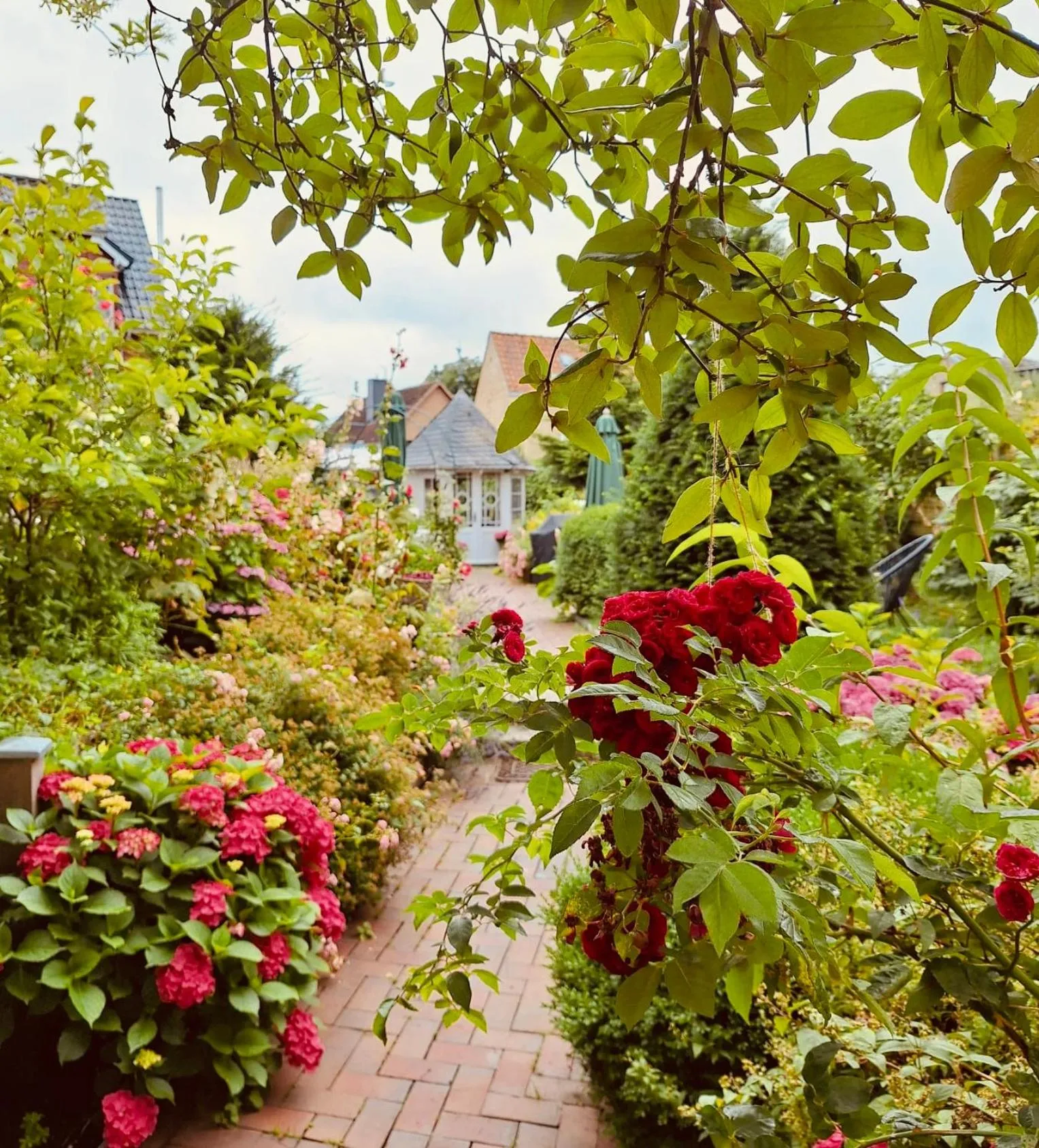 Garden in Hotel Bed & Breakfast am Dom