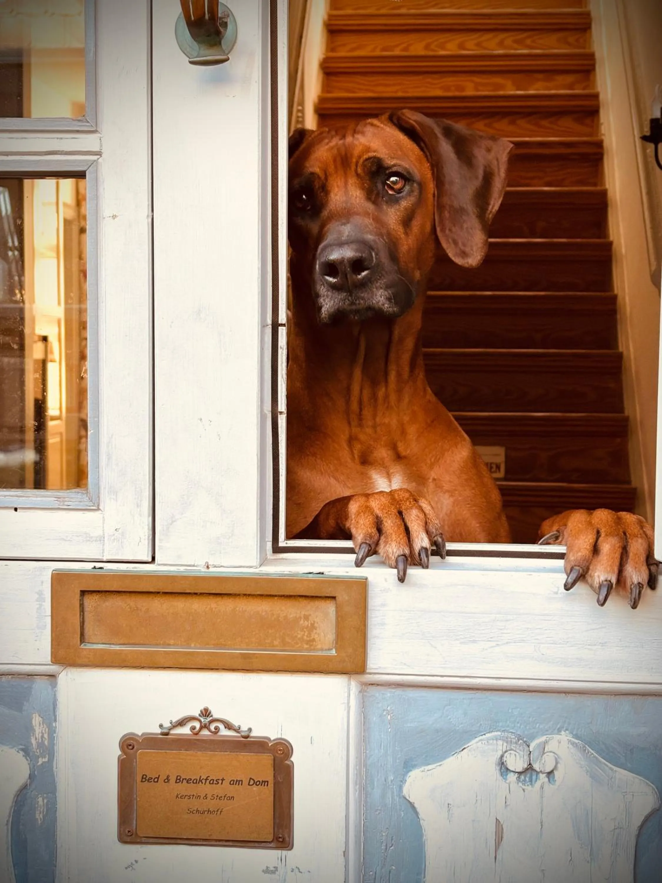 Facade/entrance in Hotel Bed & Breakfast am Dom