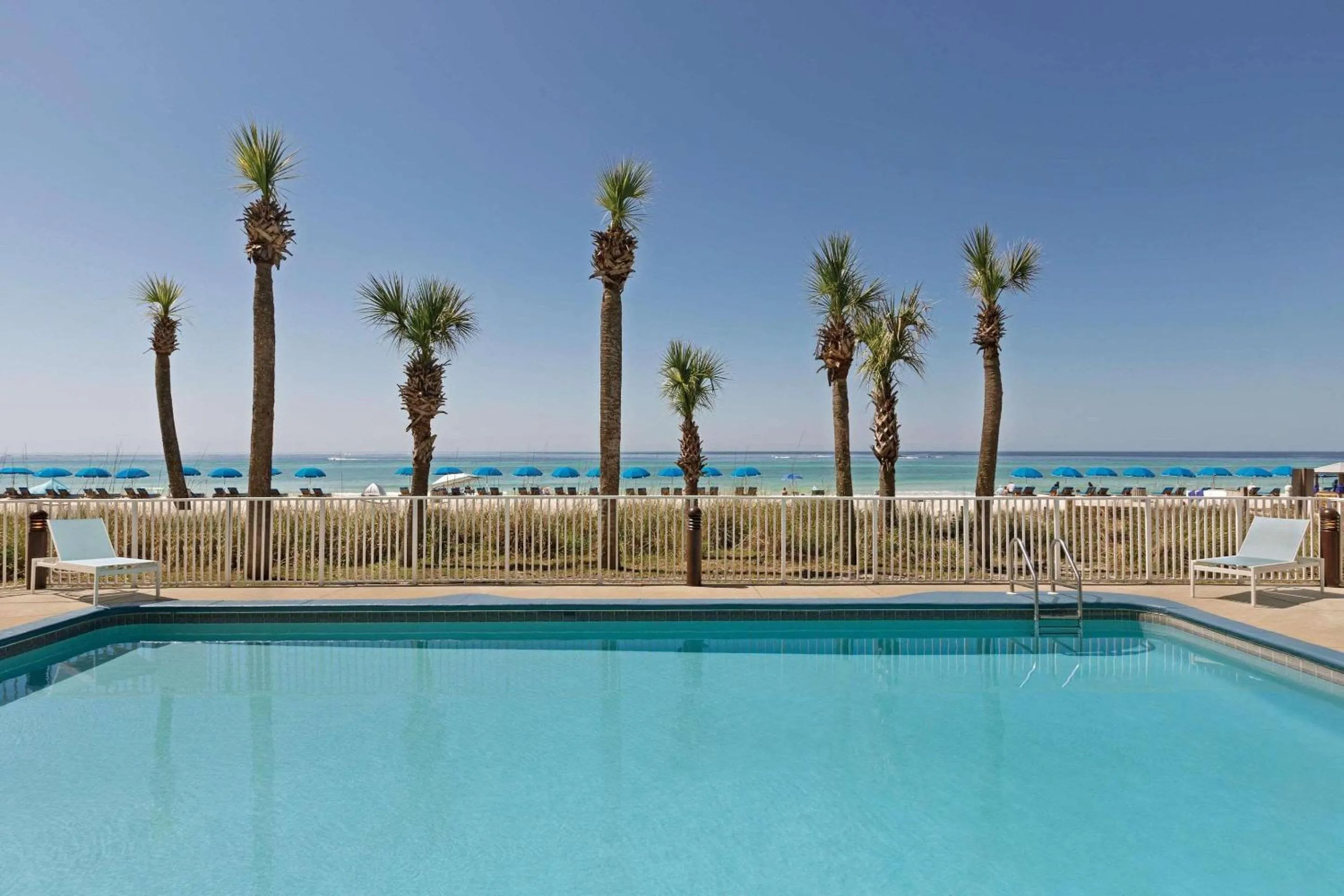 Swimming pool in Radisson Beachfront Hotel - Panama City Beach