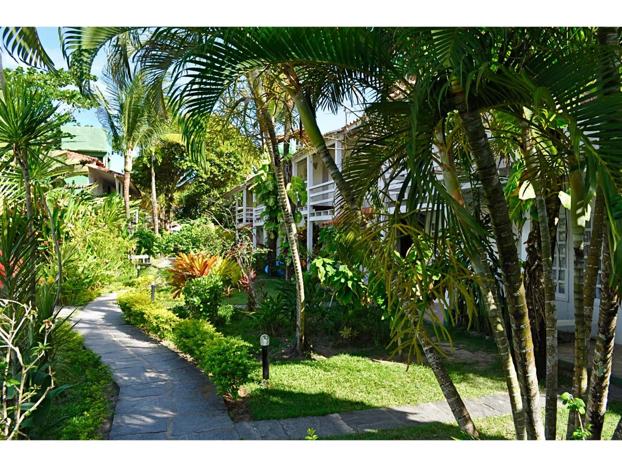 Garden in Aquarela Praia Hotel