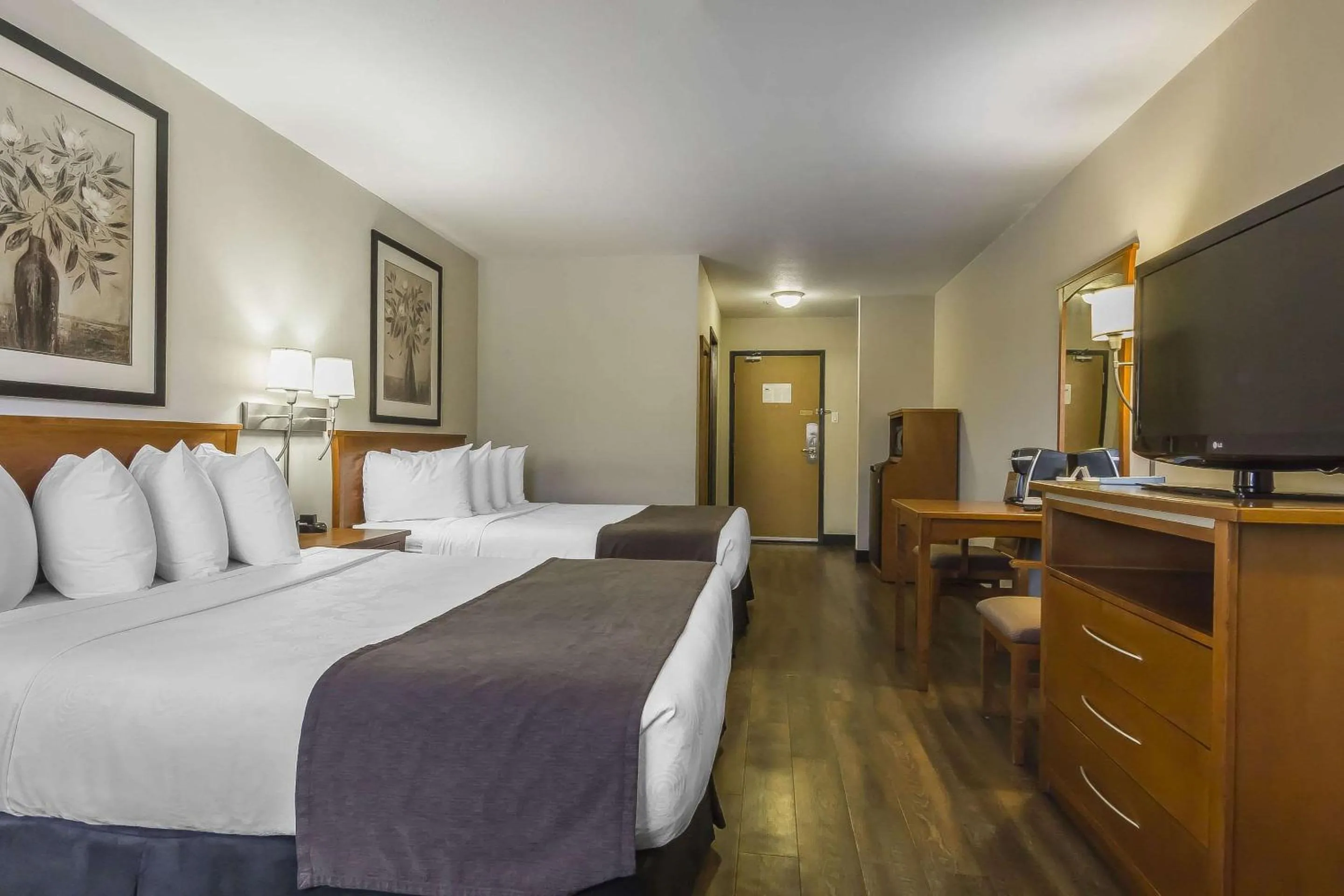 Photo of the whole room, Bed in Quality Inn & Suites