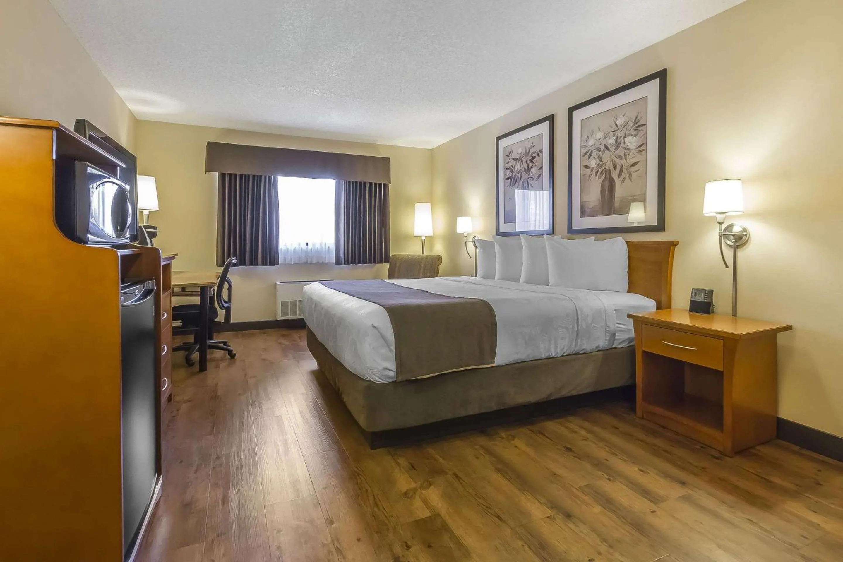 Photo of the whole room, Bed in Quality Inn & Suites