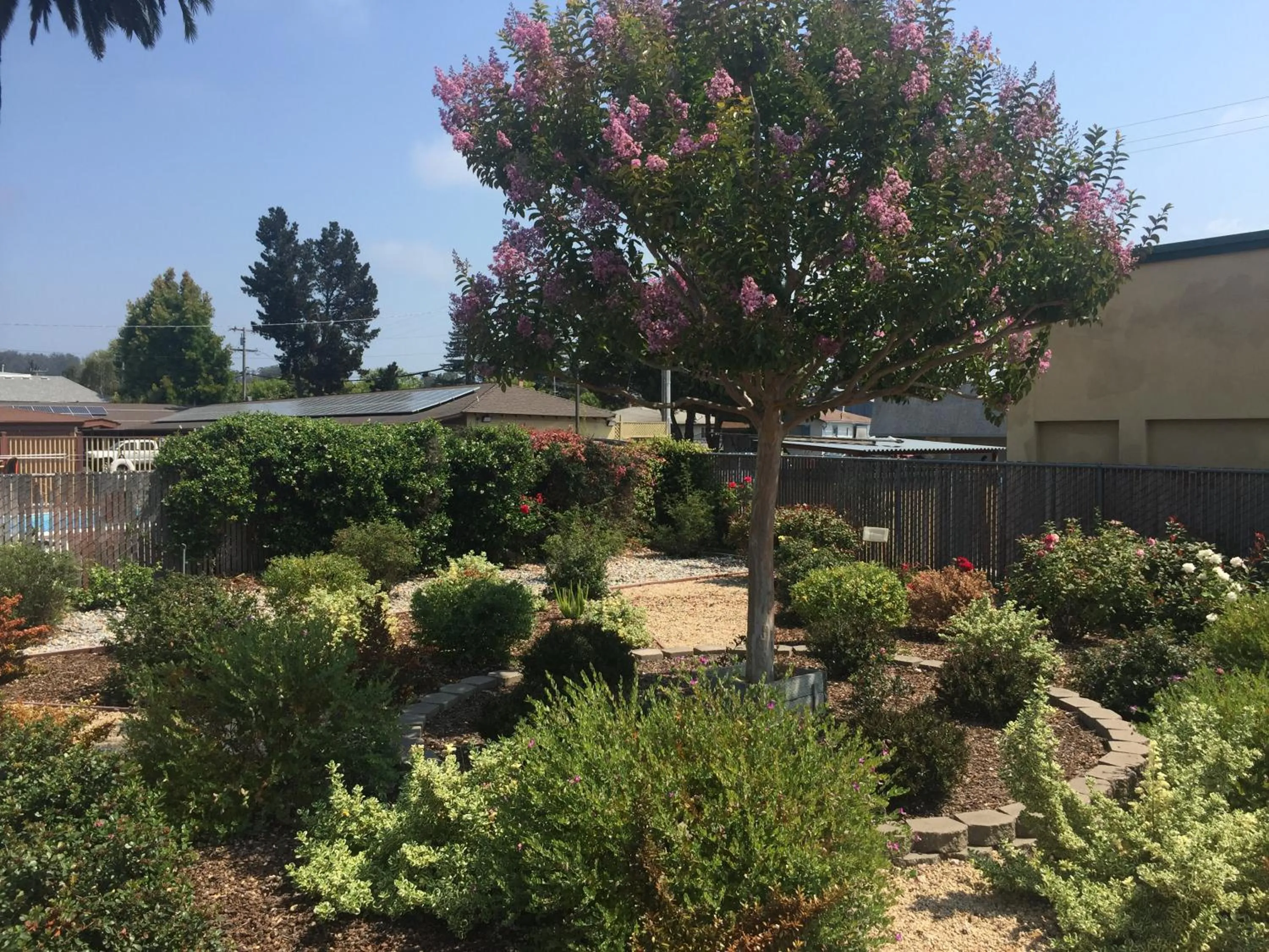 Garden view in Hitching Post Studios Inn