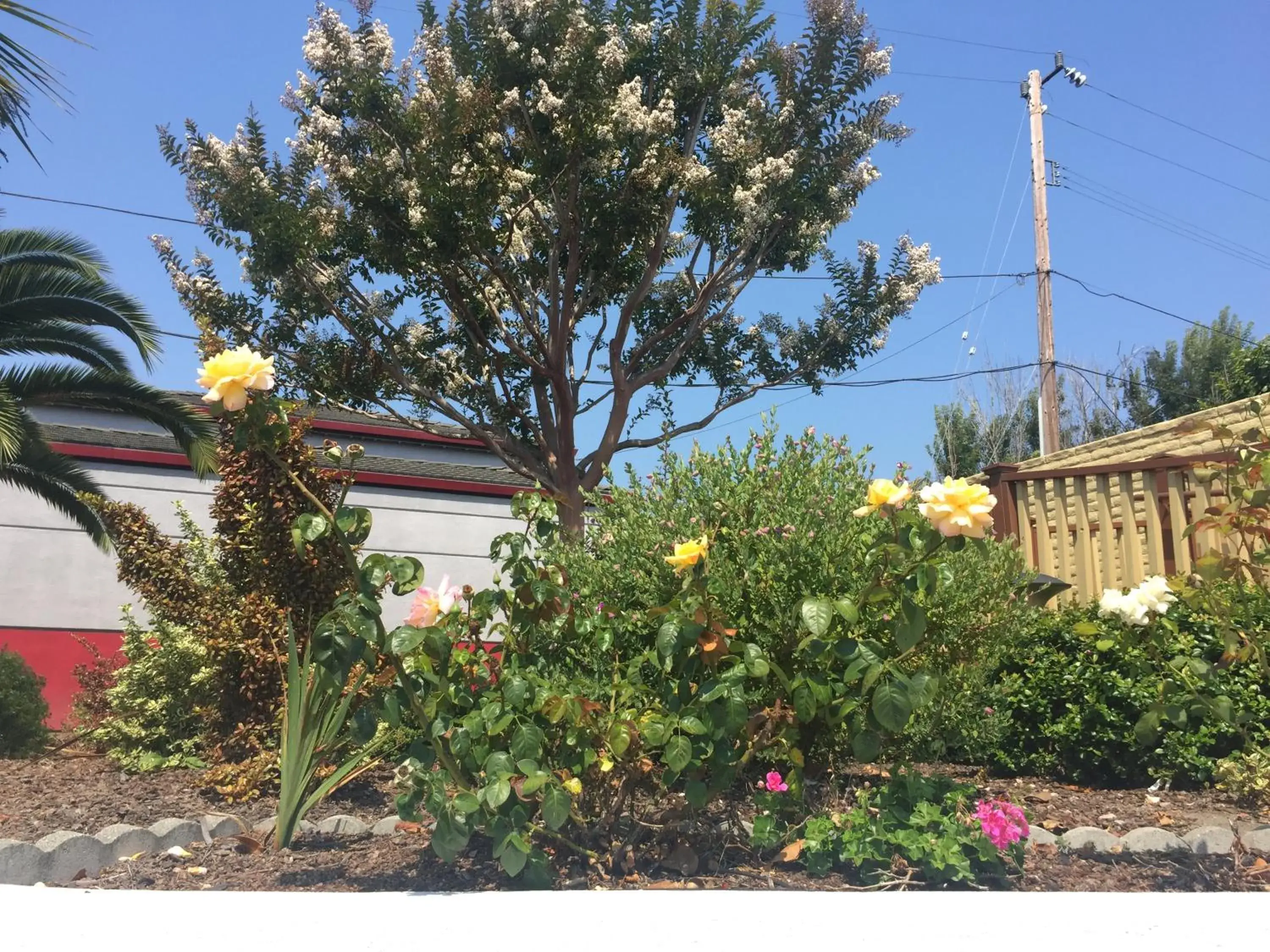 Garden view in Hitching Post Studios Inn Garden view in Hitching Post Studios Inn