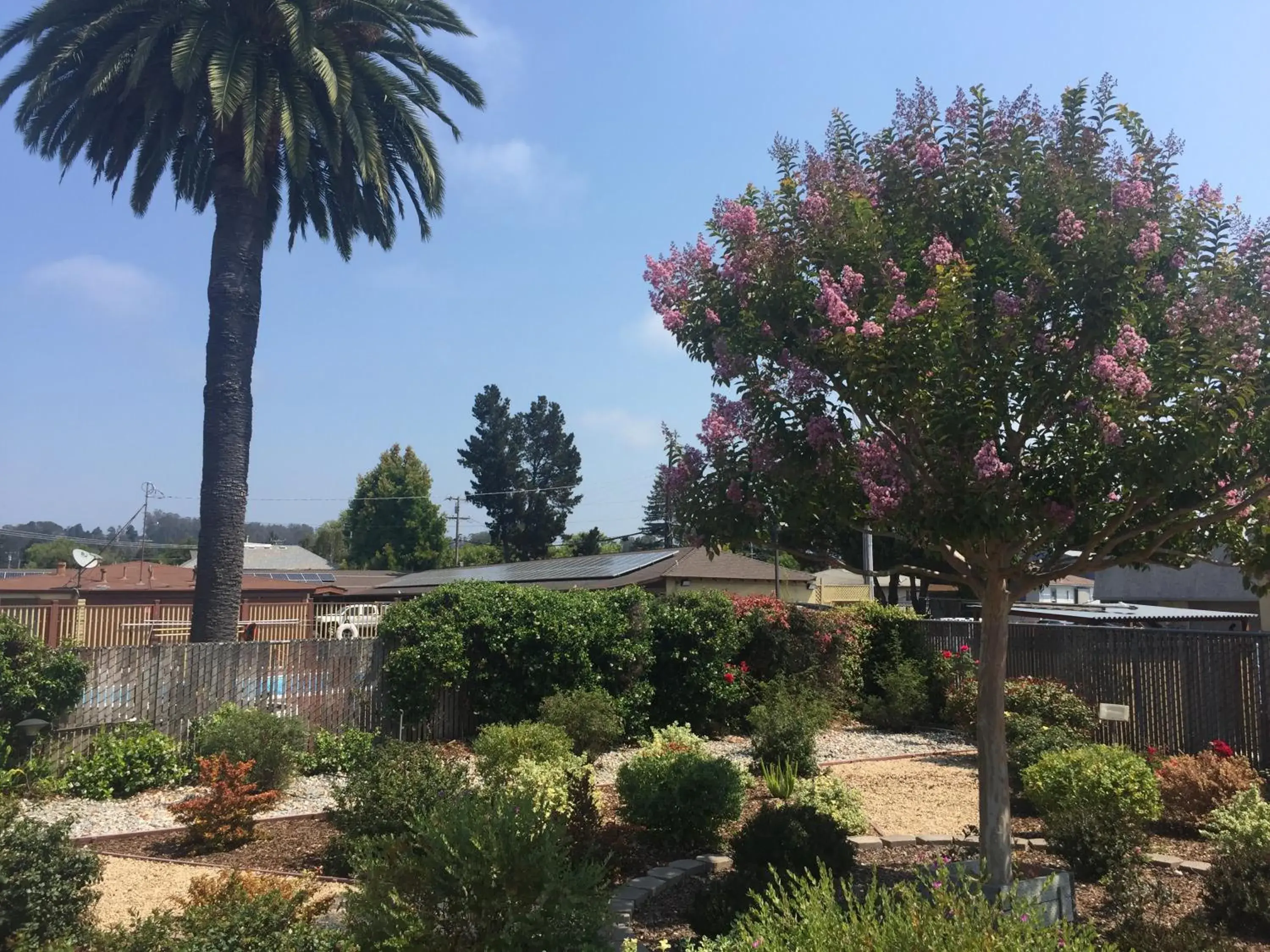 Garden view in Hitching Post Studios Inn Garden view in Hitching Post Studios Inn