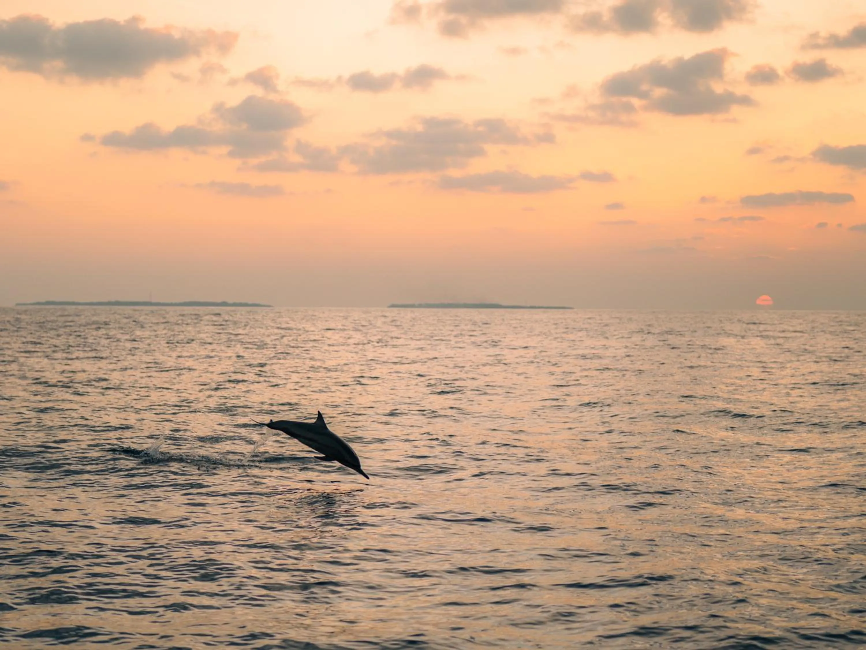 Sunset in Hideaway Beach Resort & Spa - FREE SHARED CHARTER FLIGHT for two on stays of 7 or more nights from September 2025 until 23rd December 2026