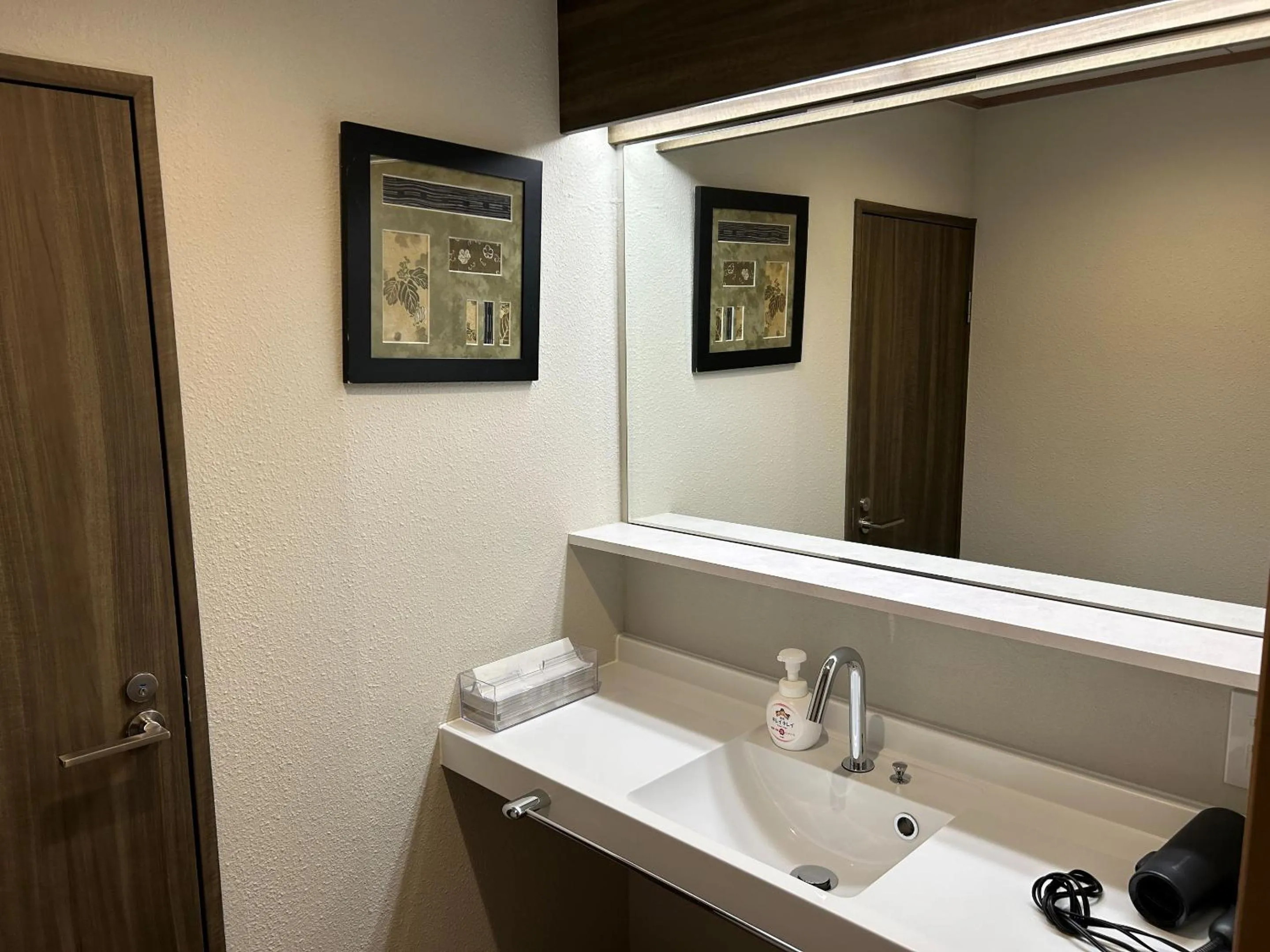 Photo of the whole room in Gion Shinmonso