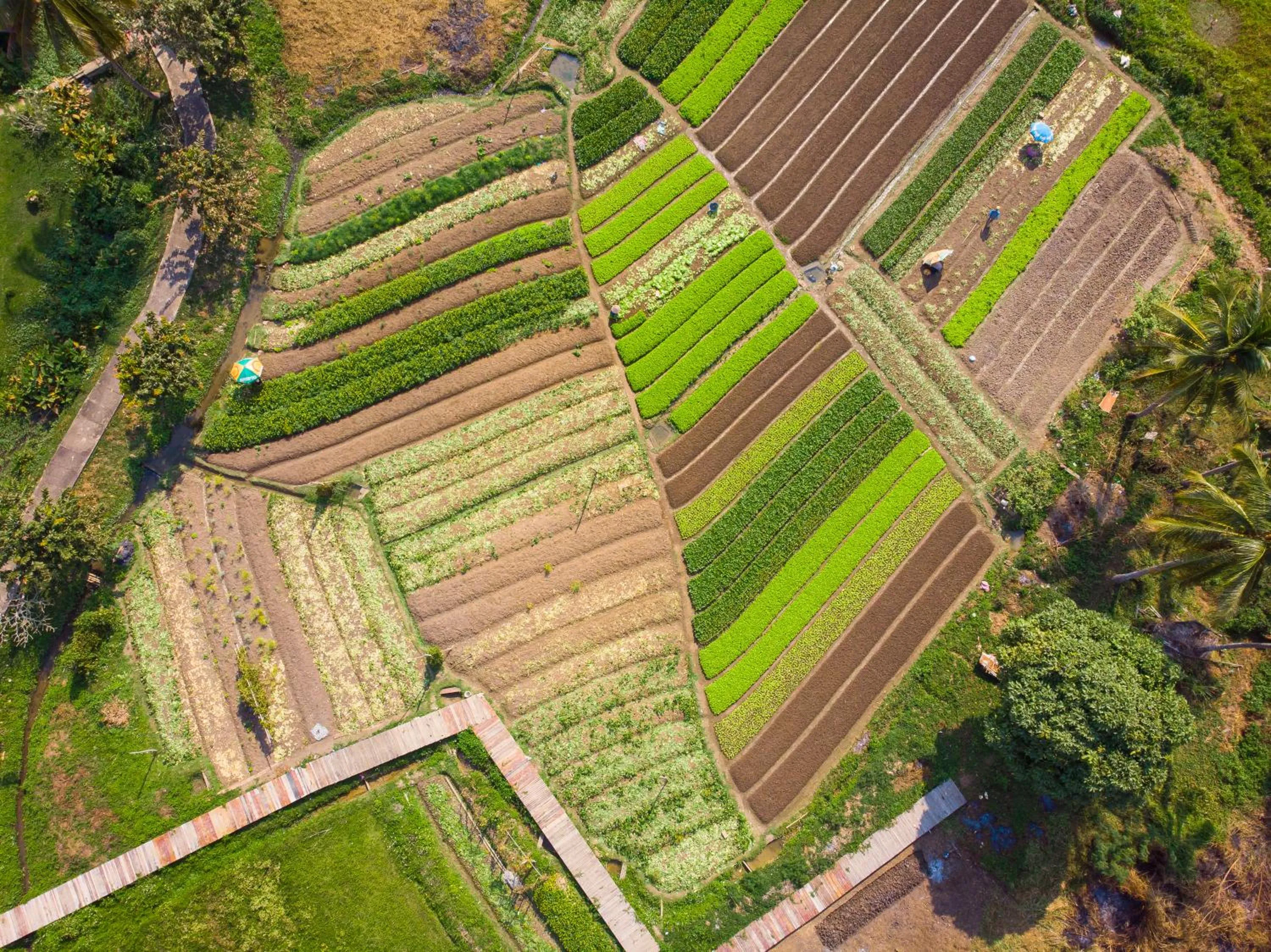 Garden in Santi Resort & Spa