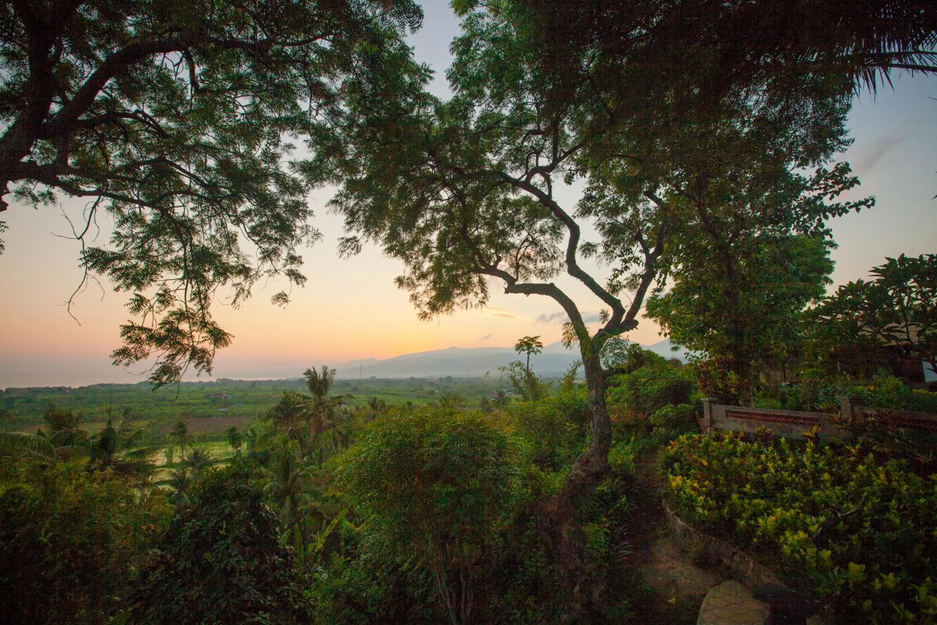 Other in Zen Resort Bali