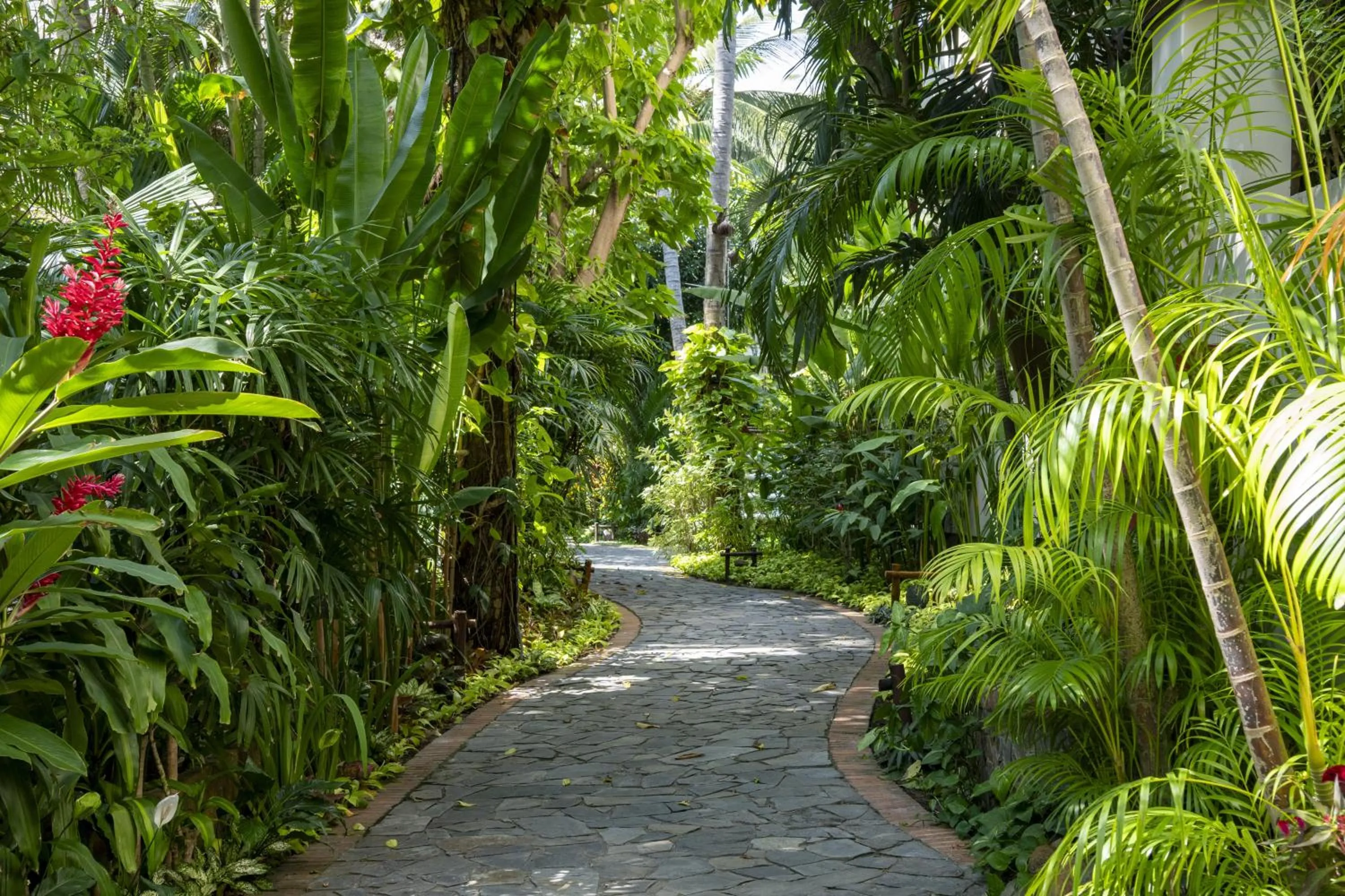 Garden view in Bamboo Village Beach Resort & Spa