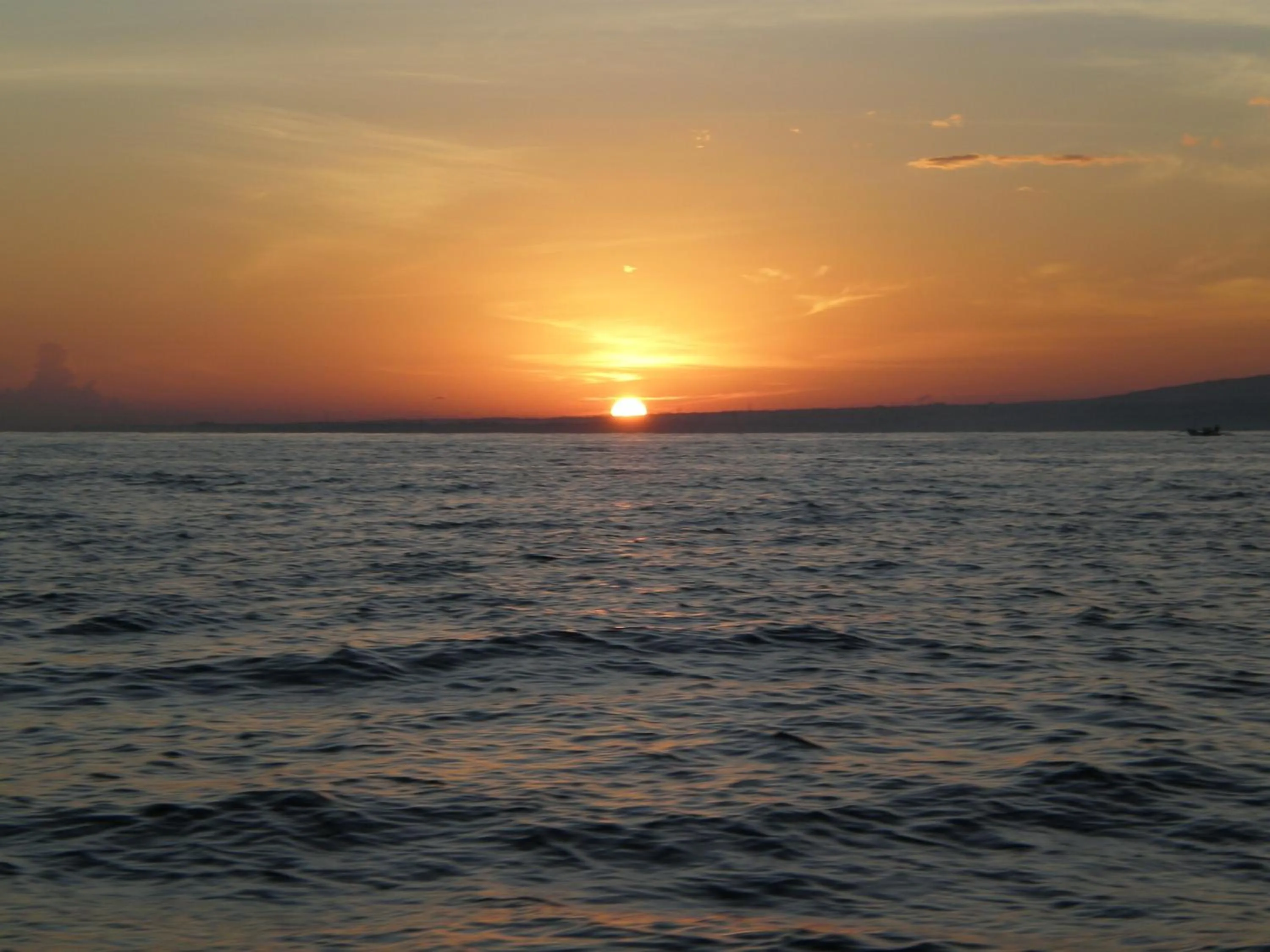 Area and facilities in Banyualit Spa 'n Resort Lovina