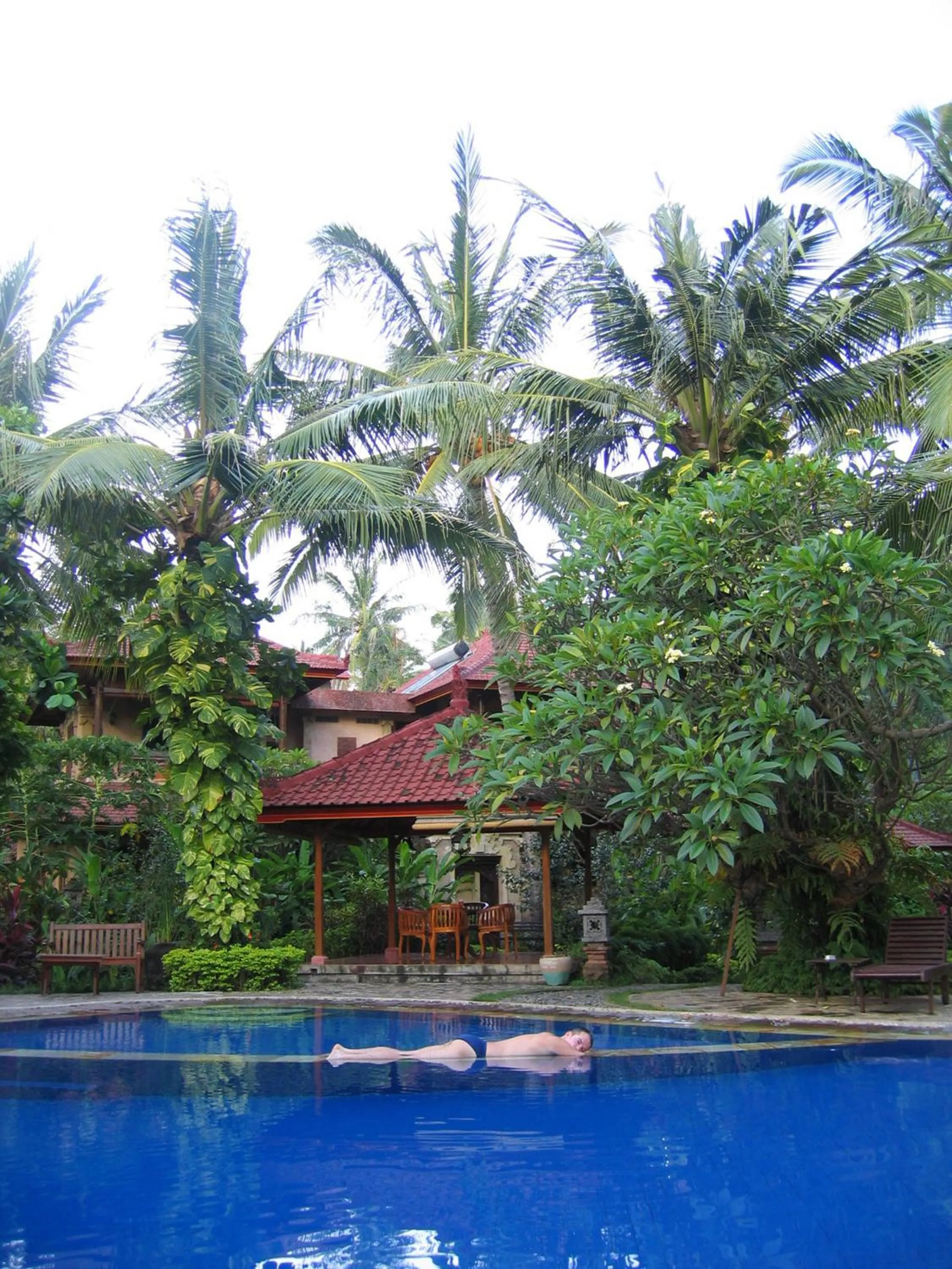 Swimming pool in Banyualit Spa 'n Resort Lovina