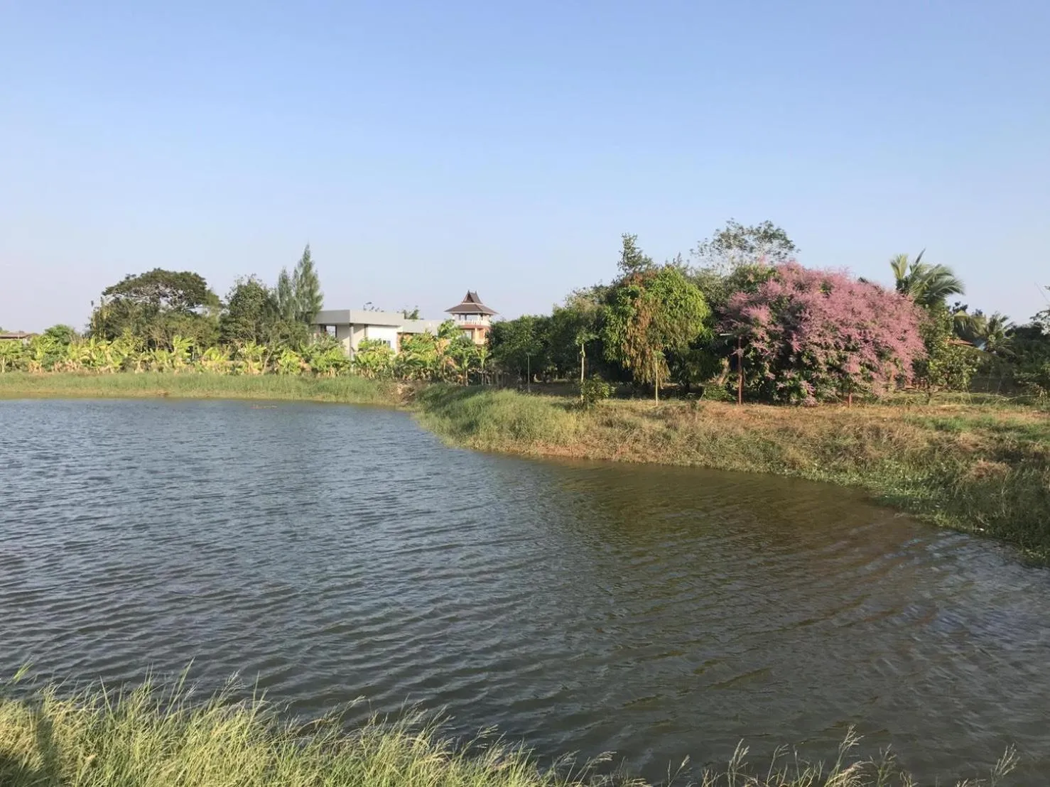 Garden in Ok Farm Resort