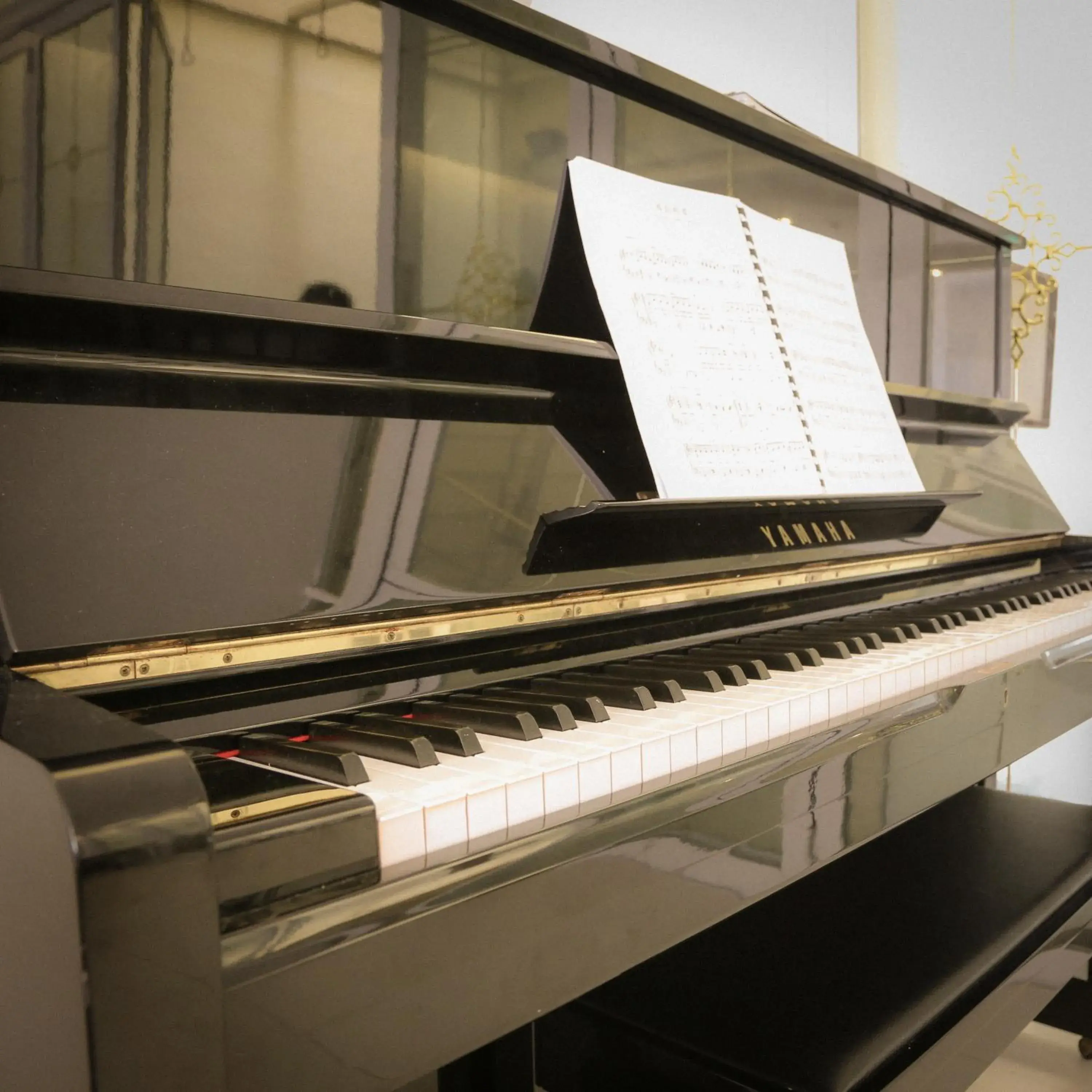 Lounge or bar in Jayleen 1918 Lounge or bar in Jayleen 1918