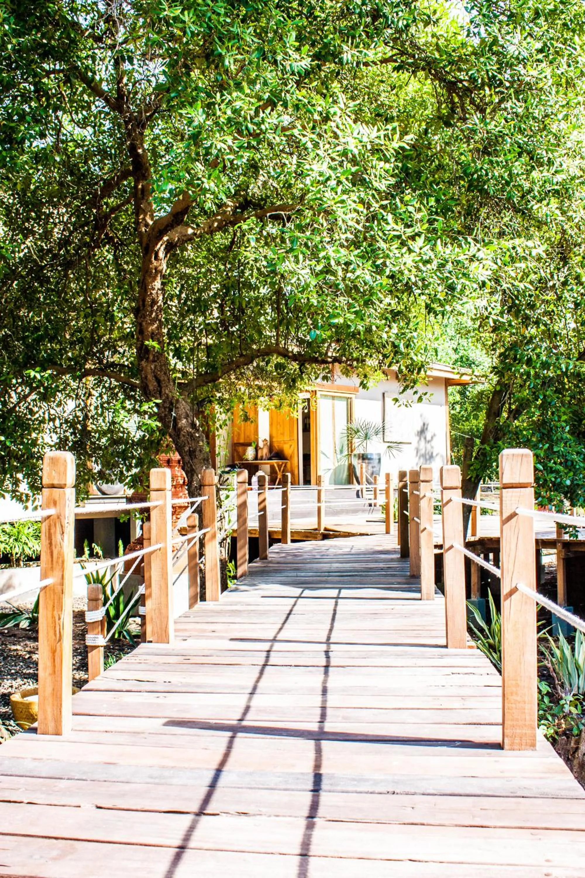 Garden view in Villa Pulau Cinta Boutique Suites